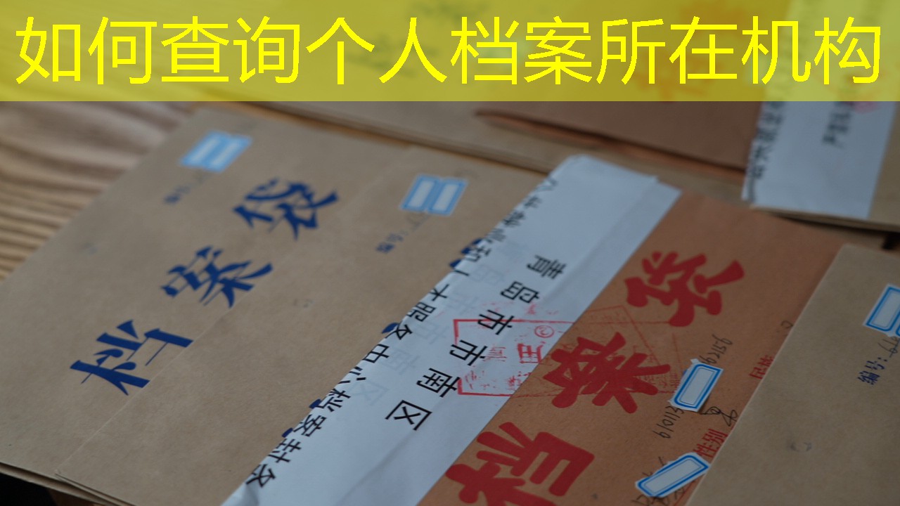 档案查询