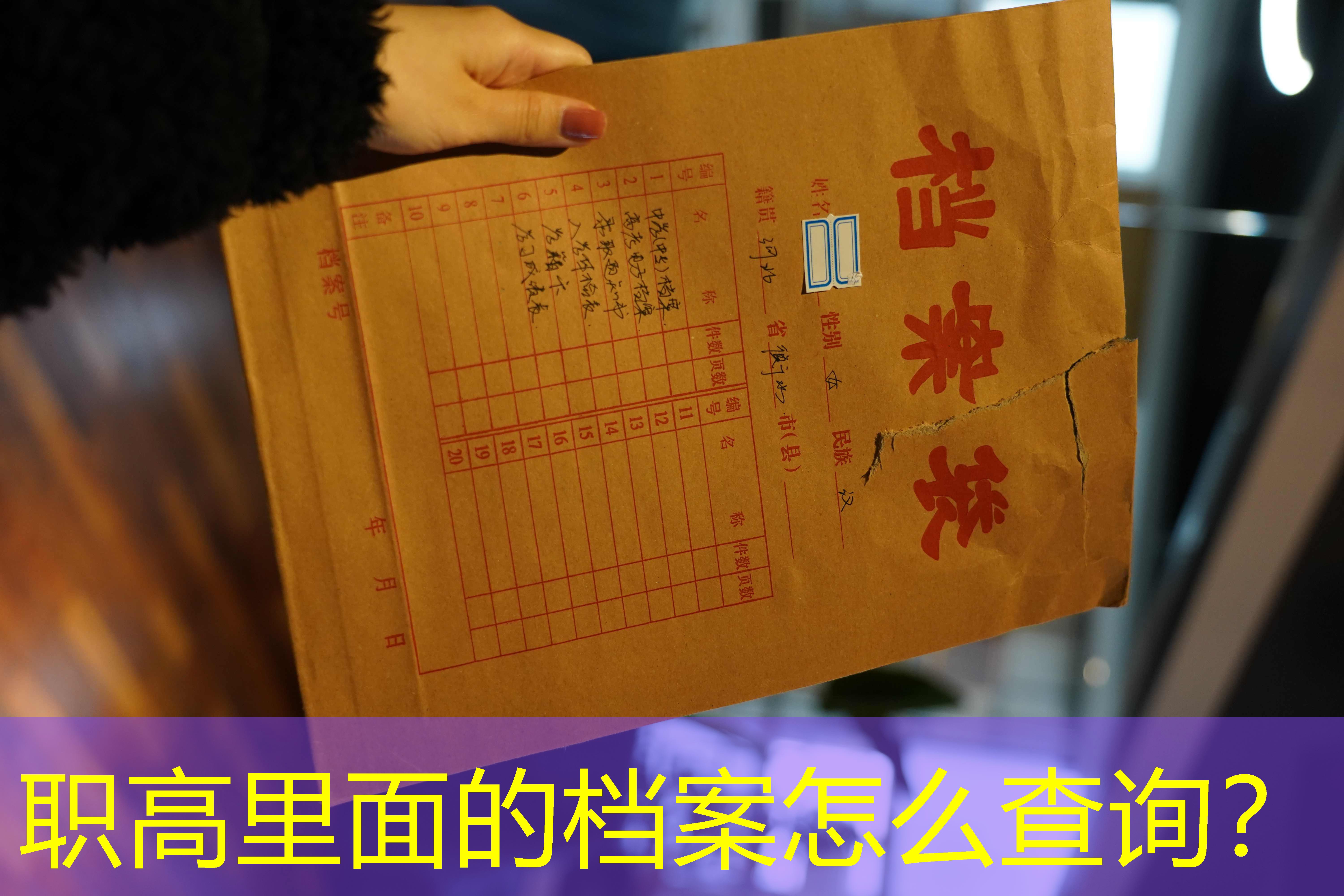 档案查询