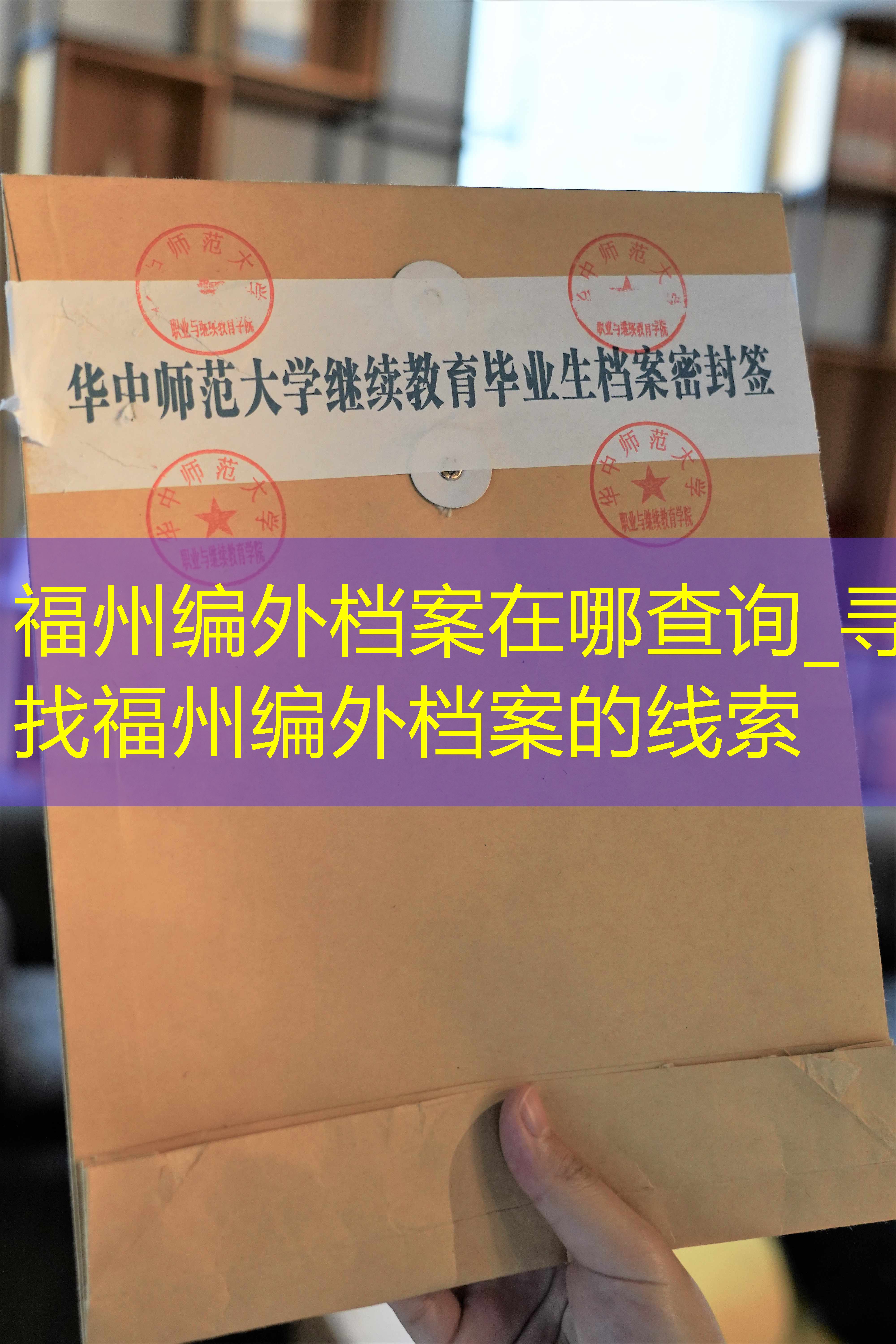 档案查询