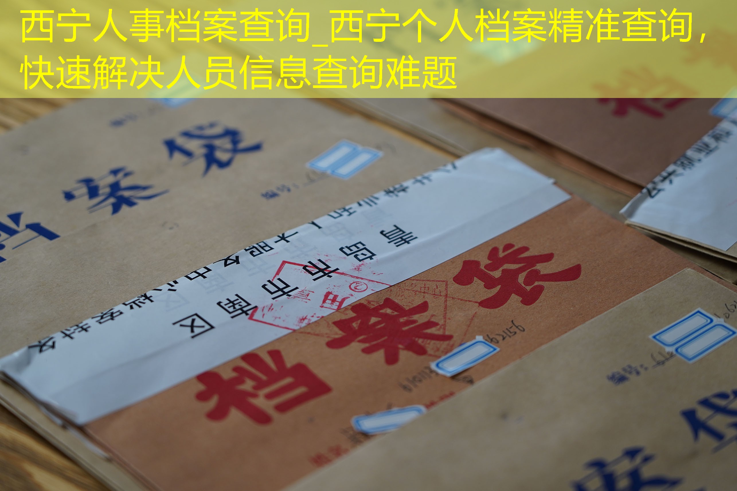 档案查询