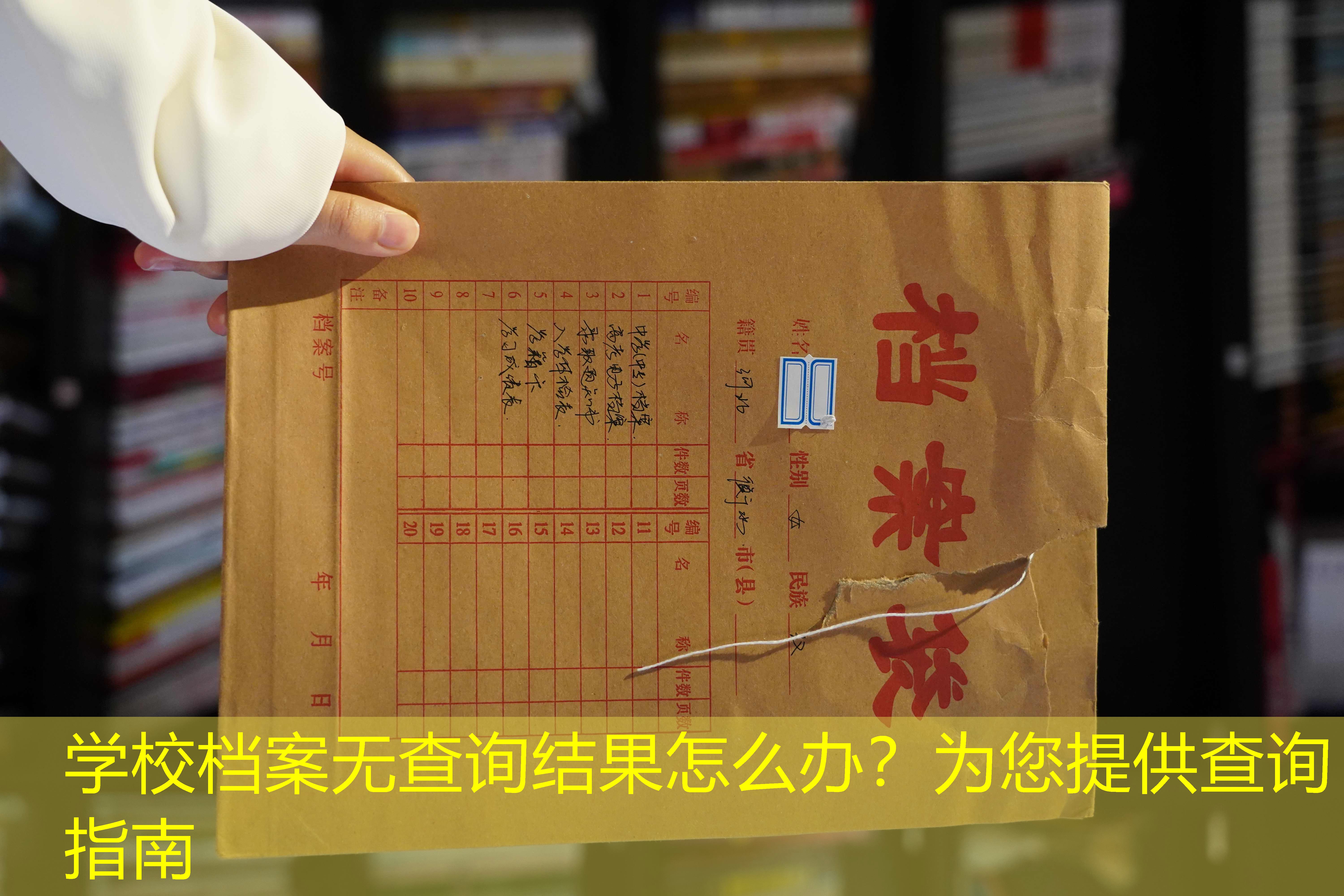 档案查询
