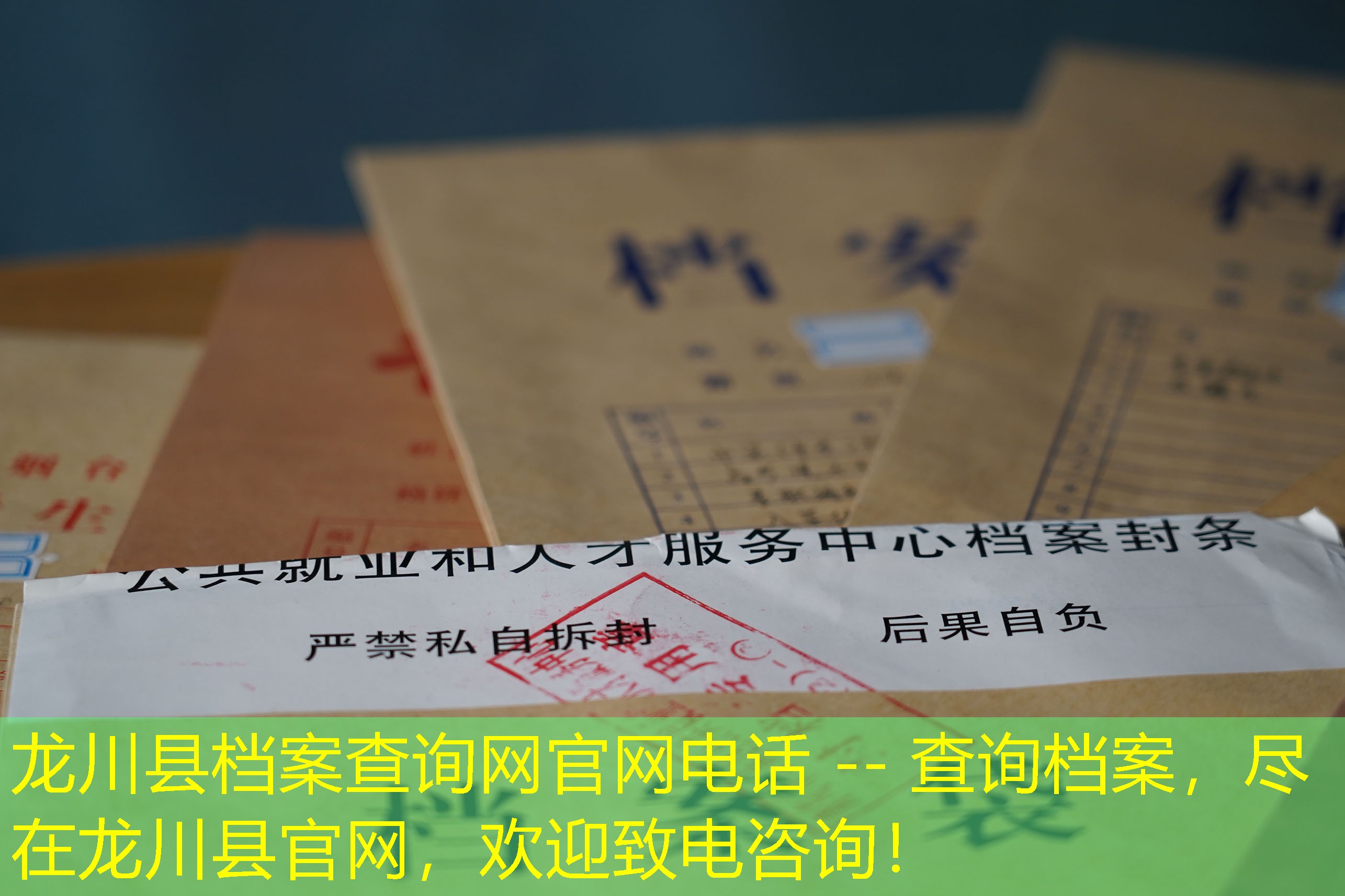 档案查询