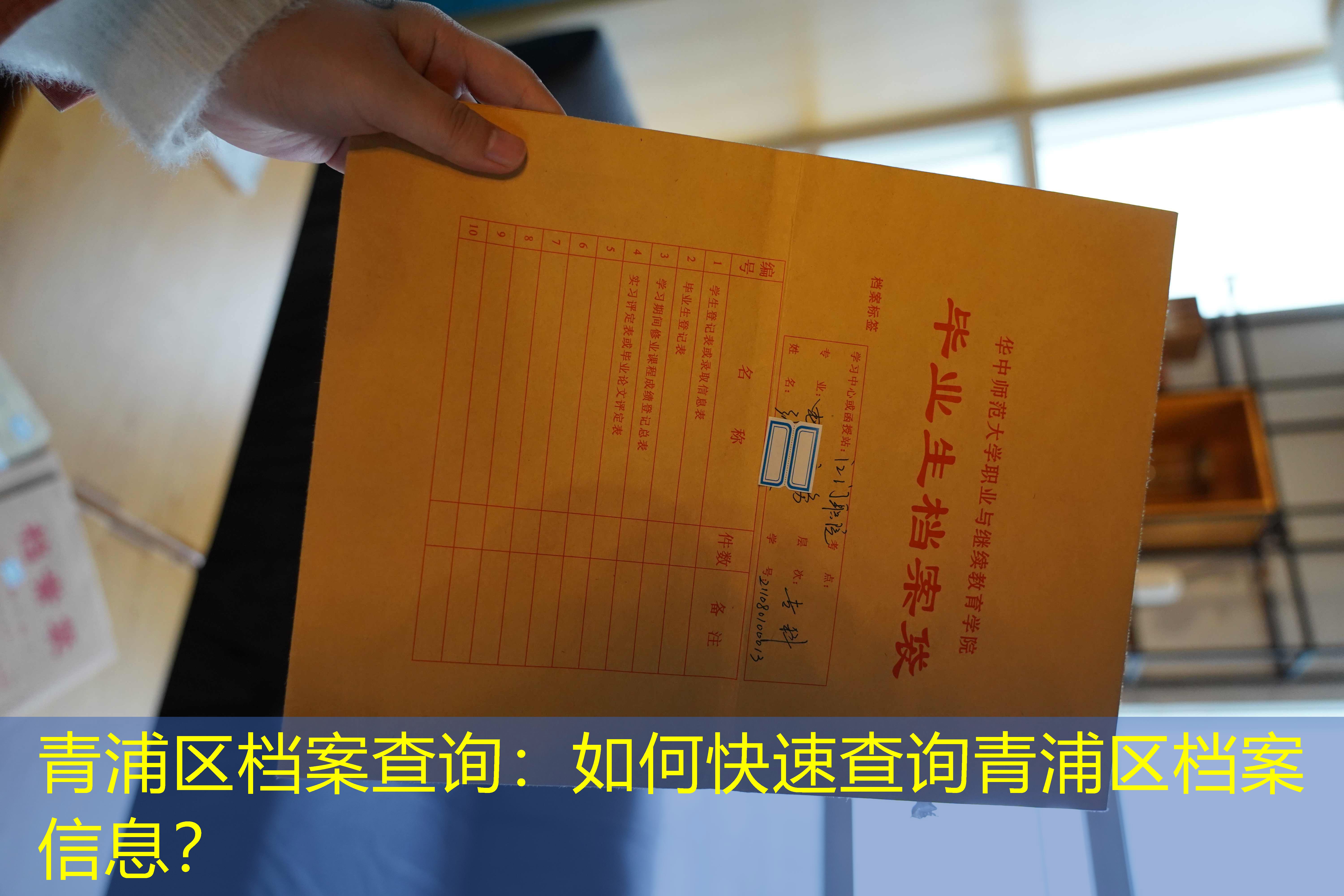 档案查询
