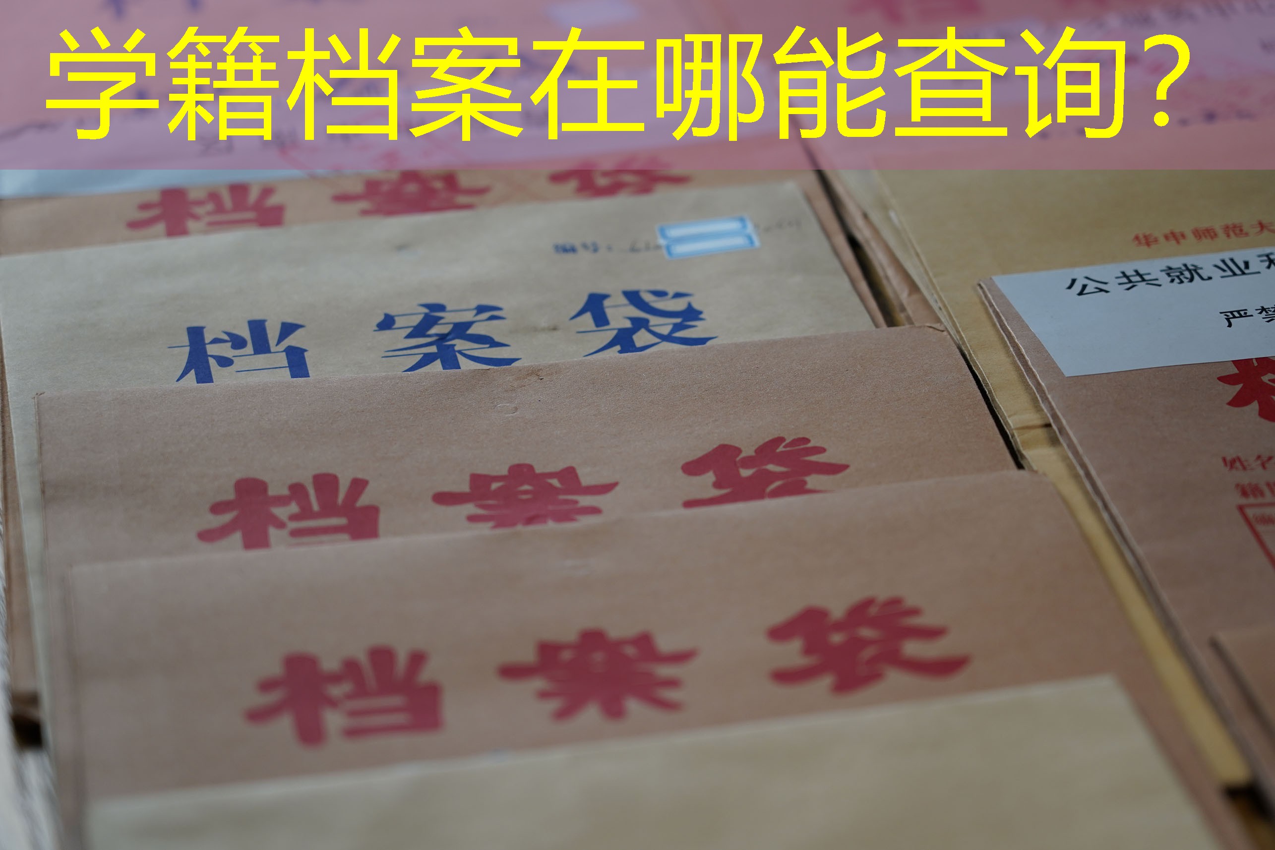 档案查询