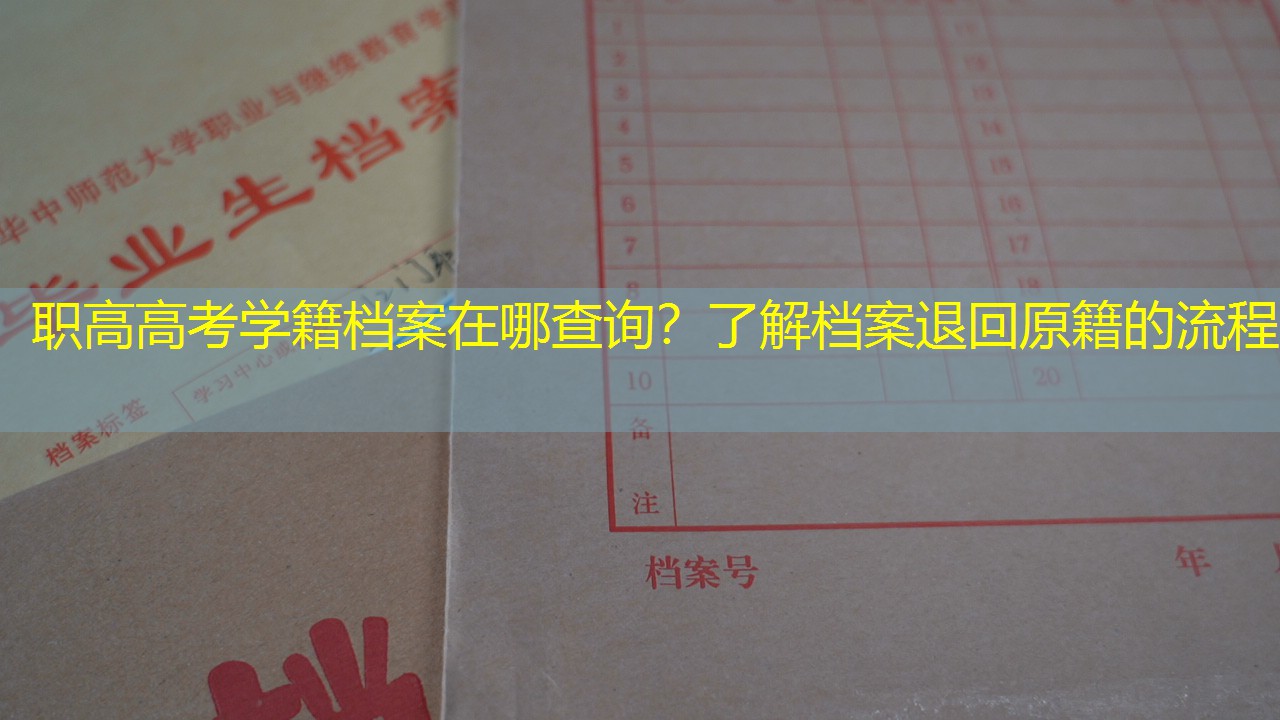 档案查询