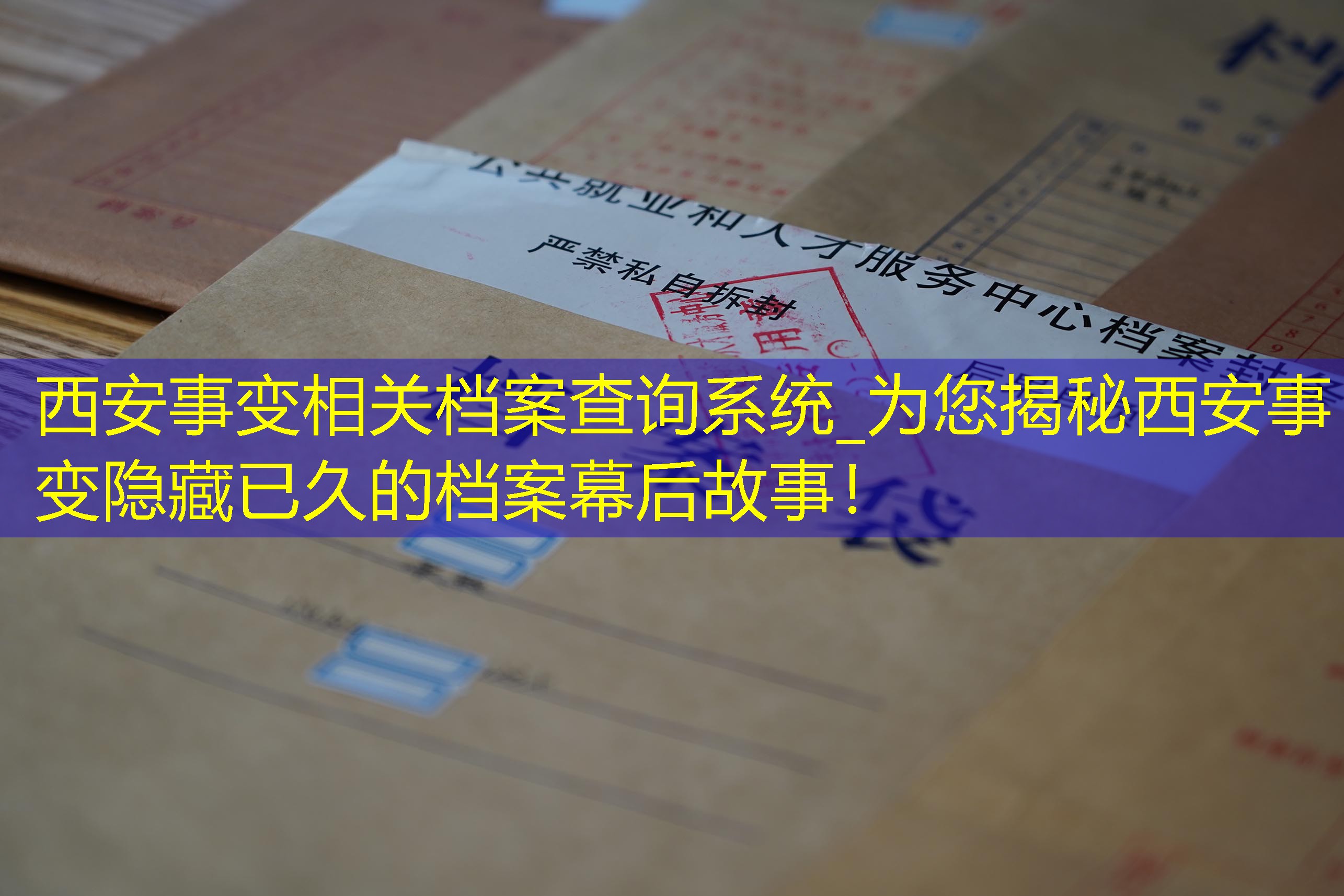 档案查询