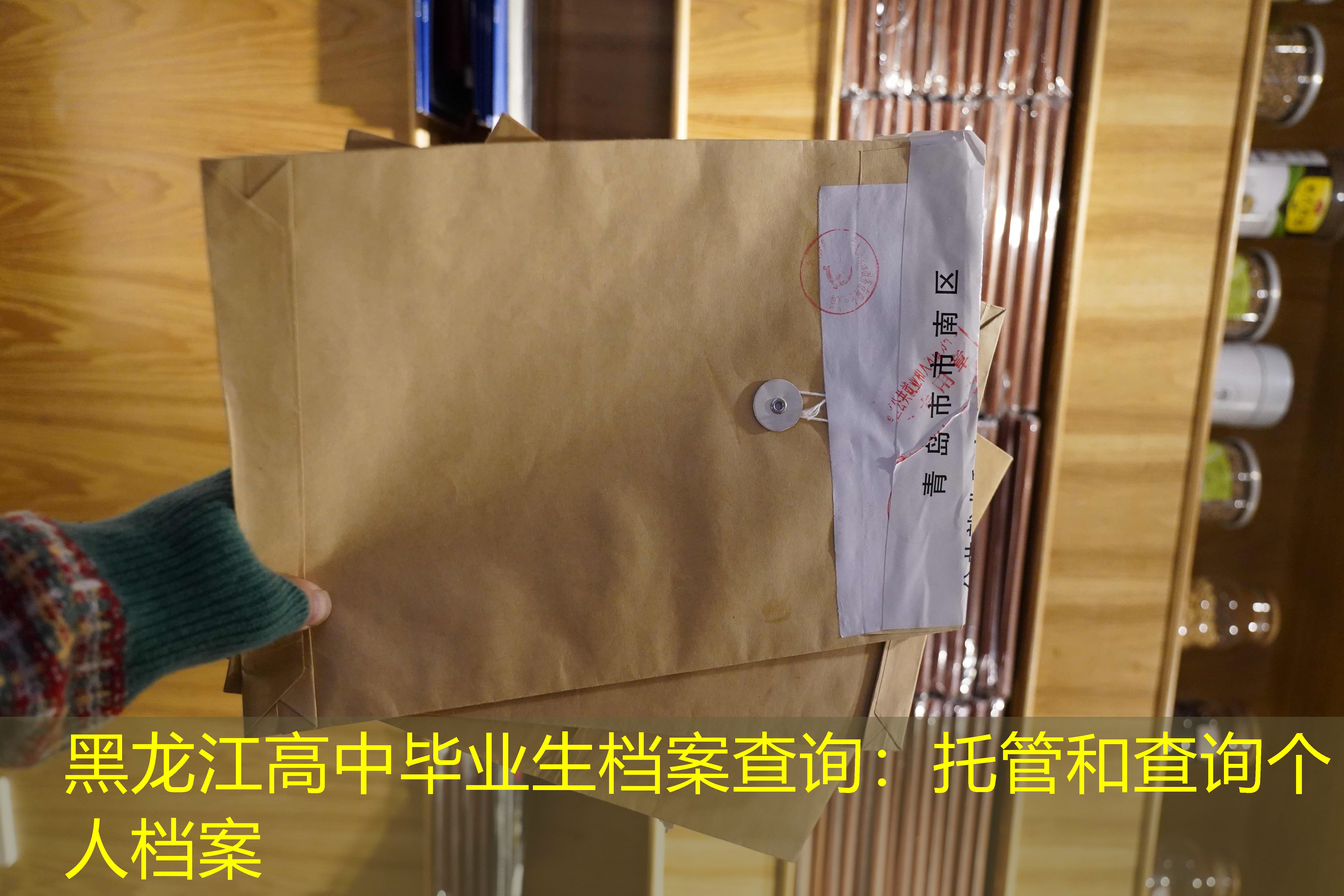 档案查询