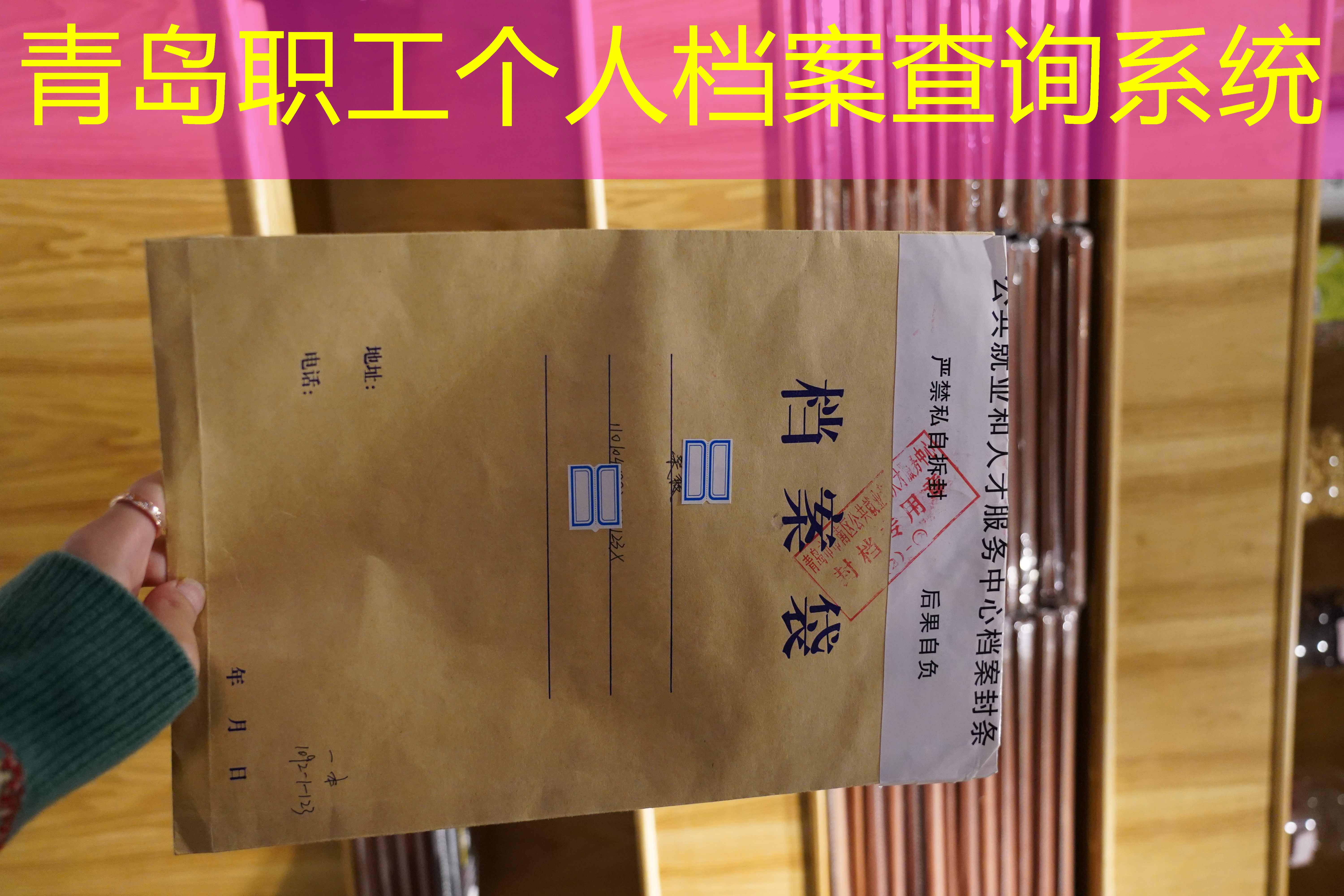 档案查询