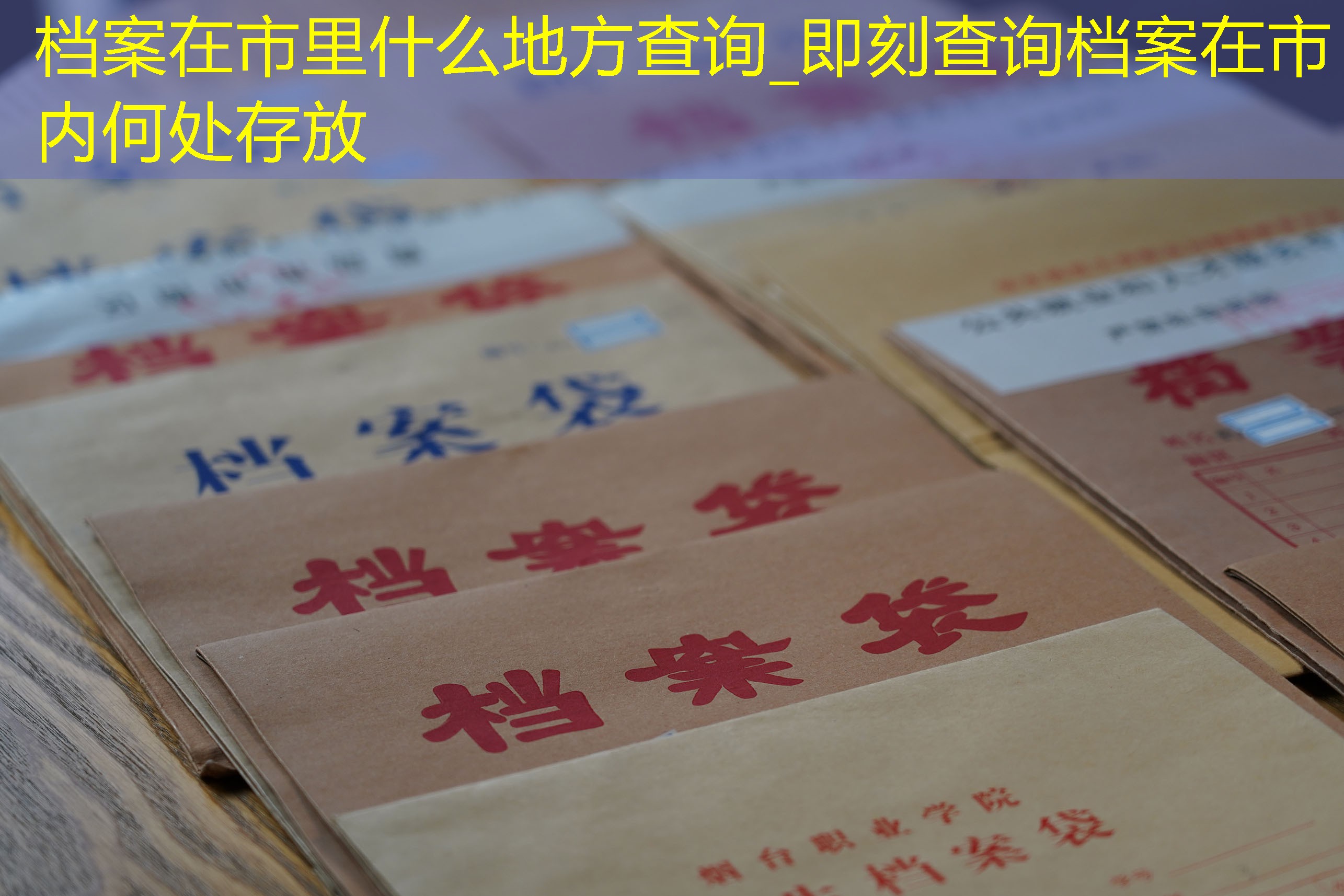 档案查询