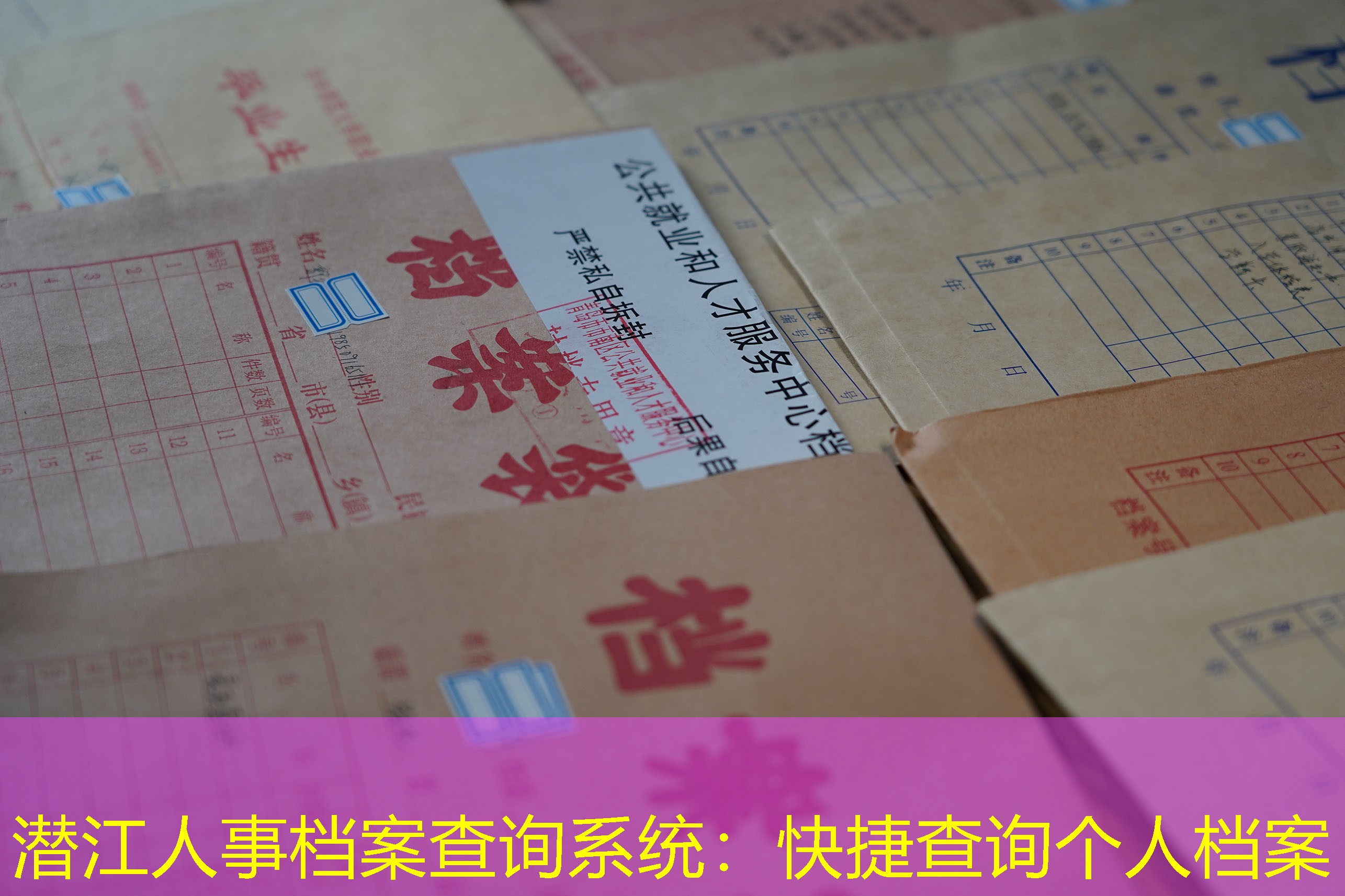 档案查询