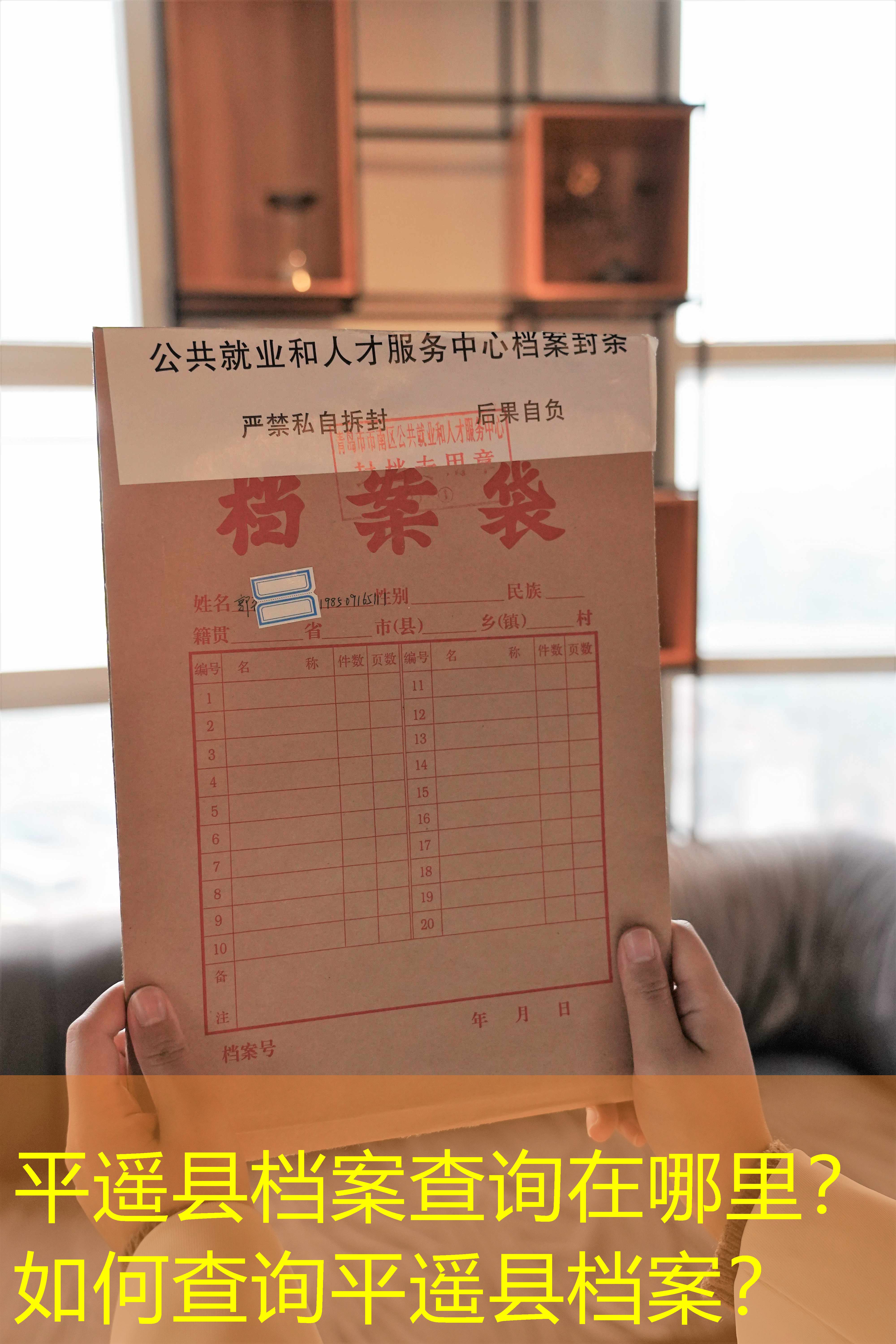 档案查询