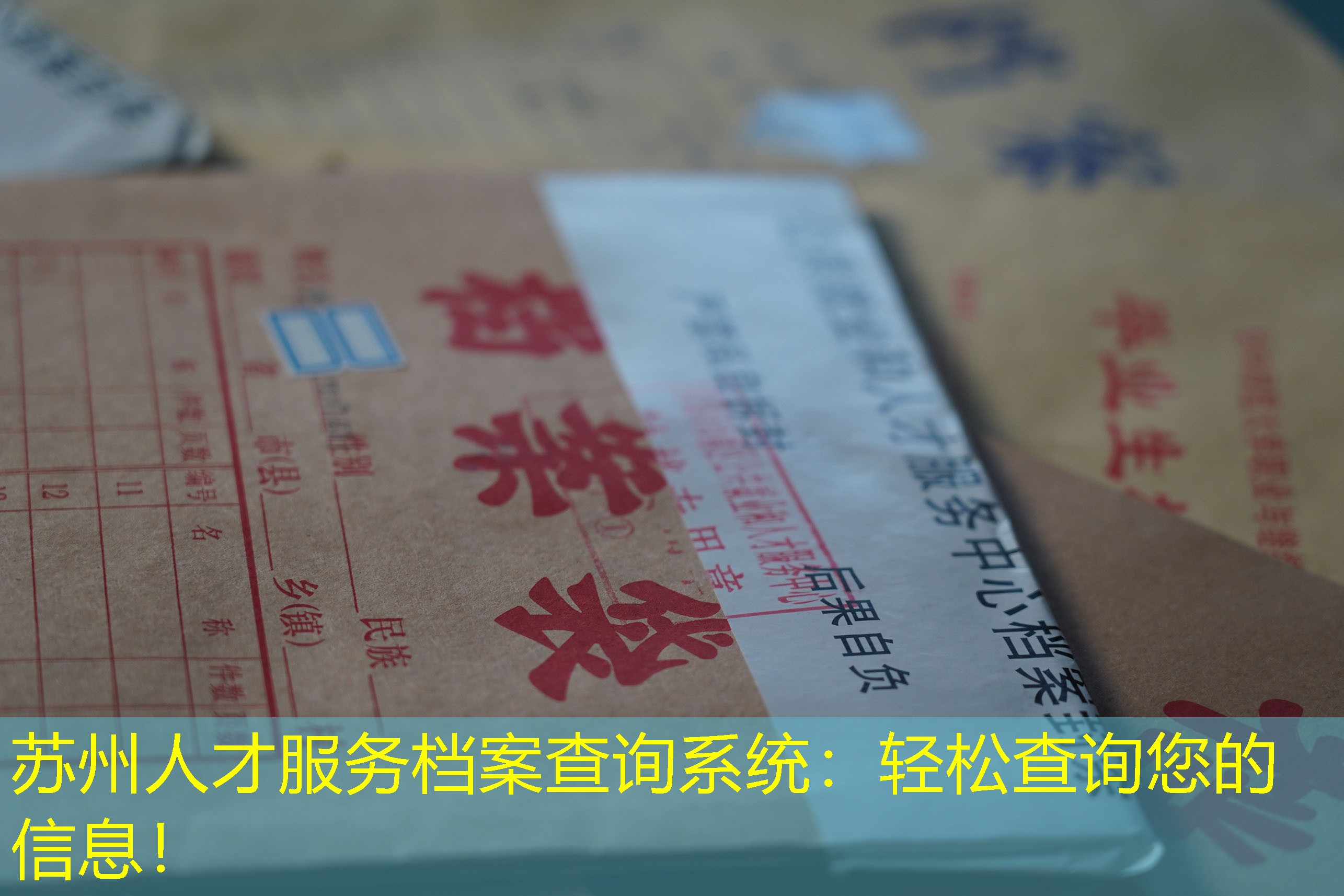 档案查询