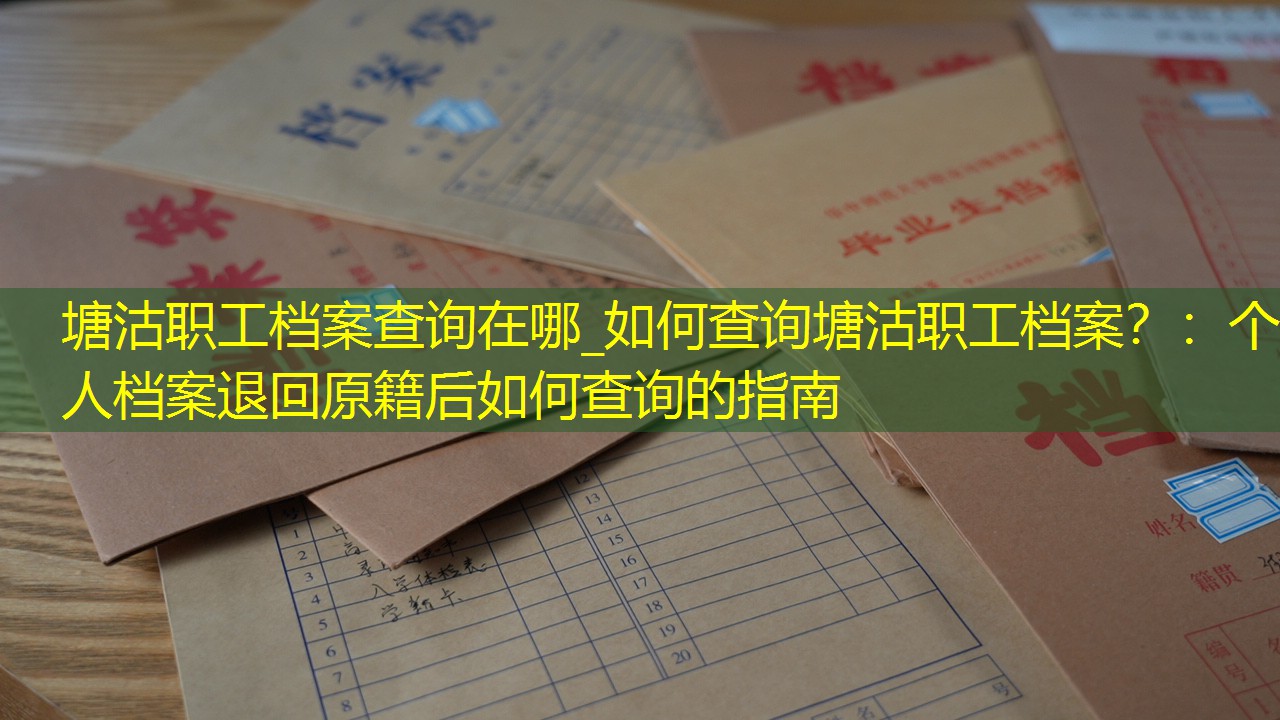 档案查询