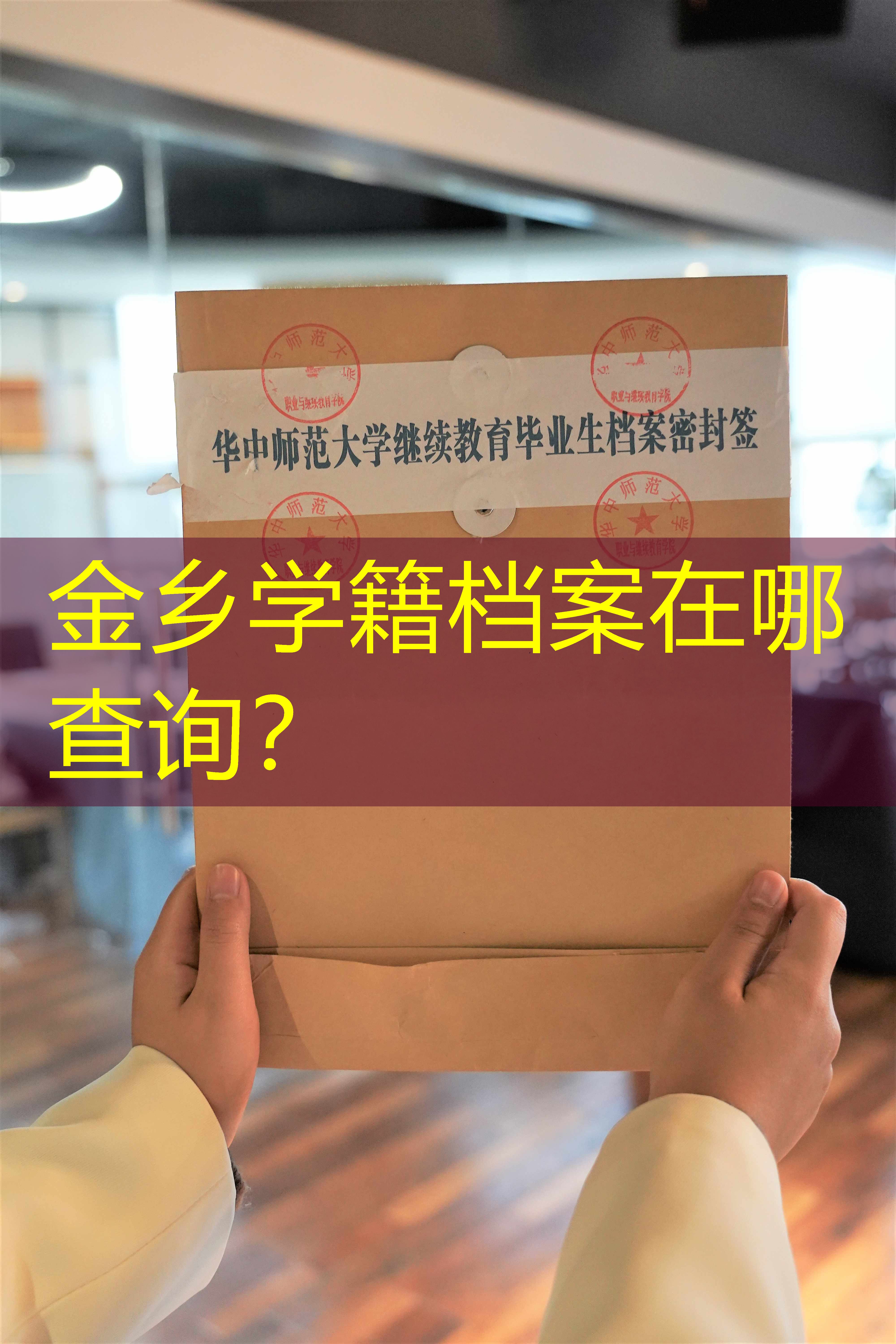档案查询