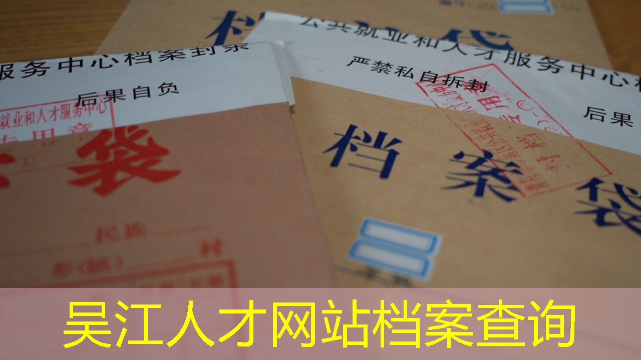 档案查询
