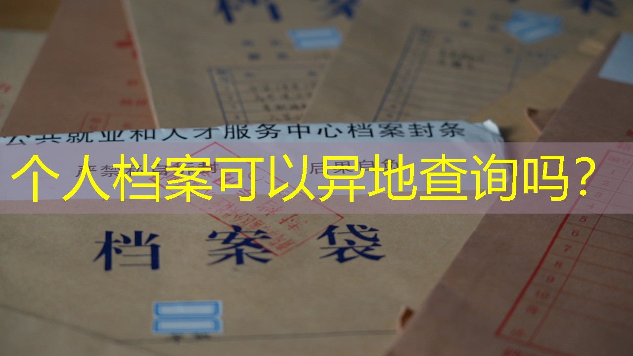档案查询