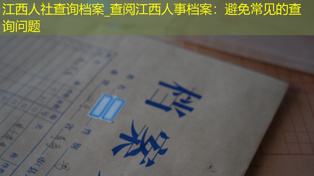 档案查询
