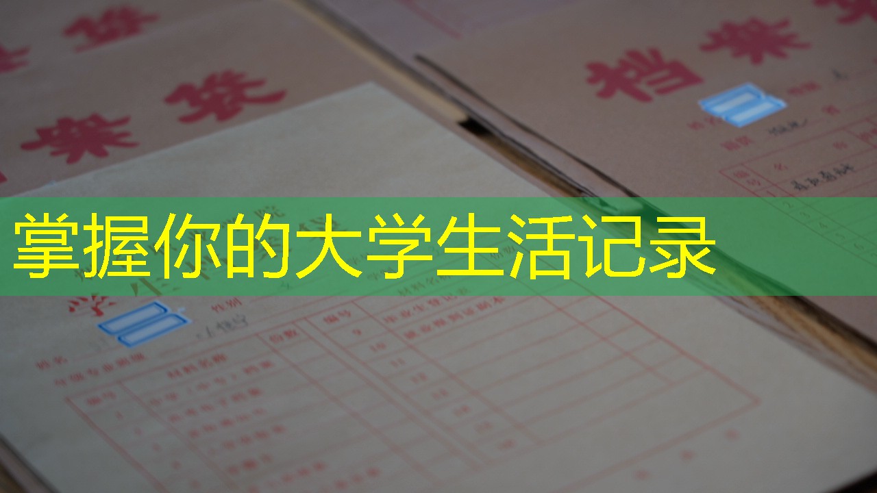 档案查询