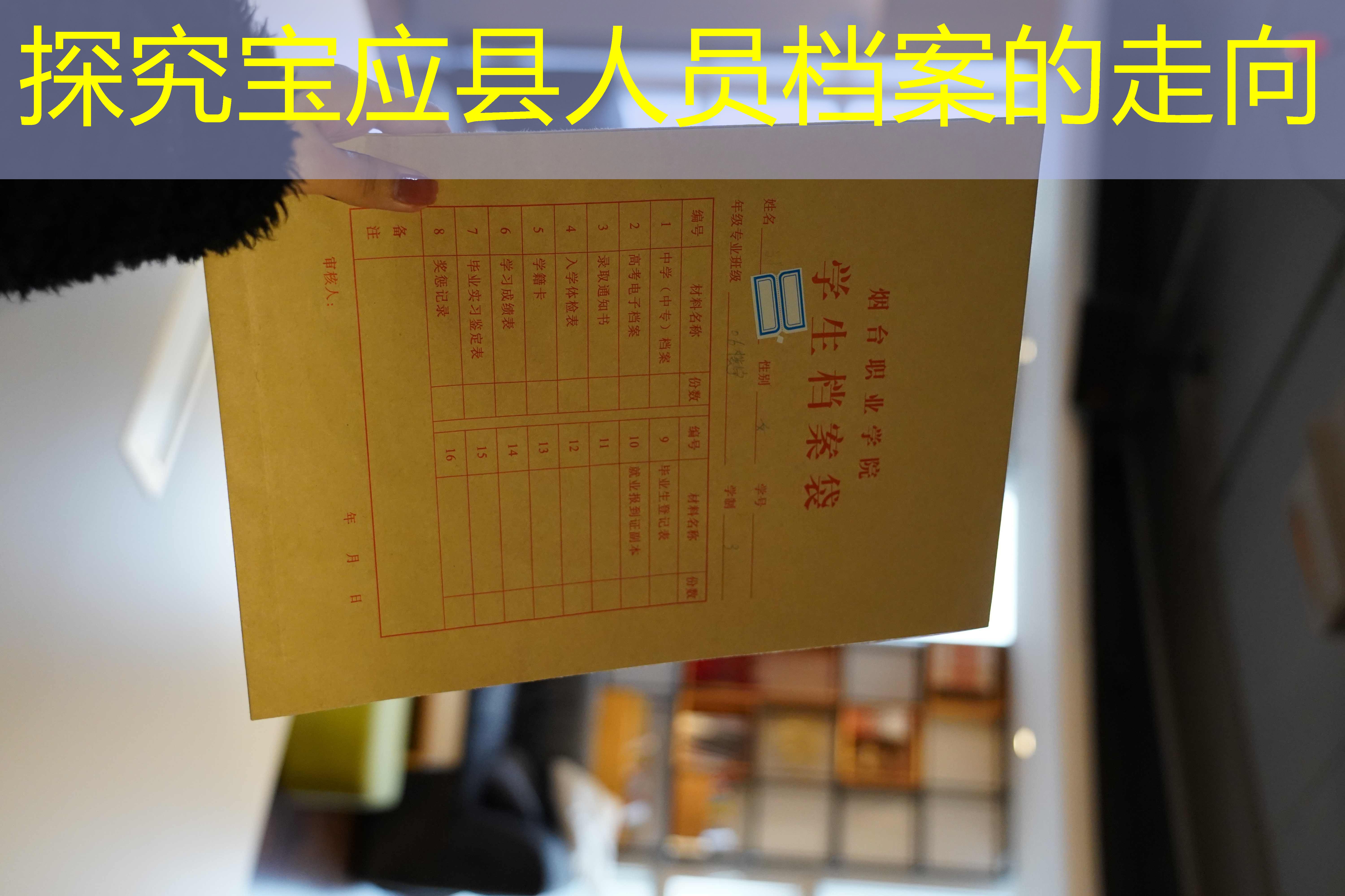 档案查询