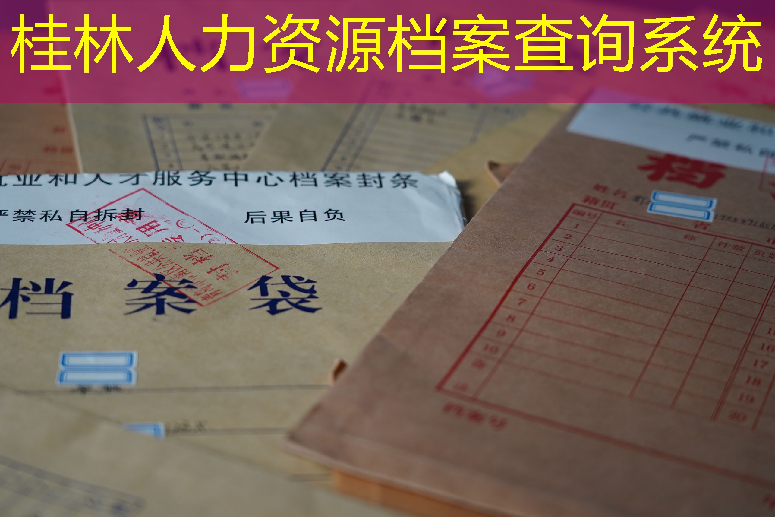 档案查询