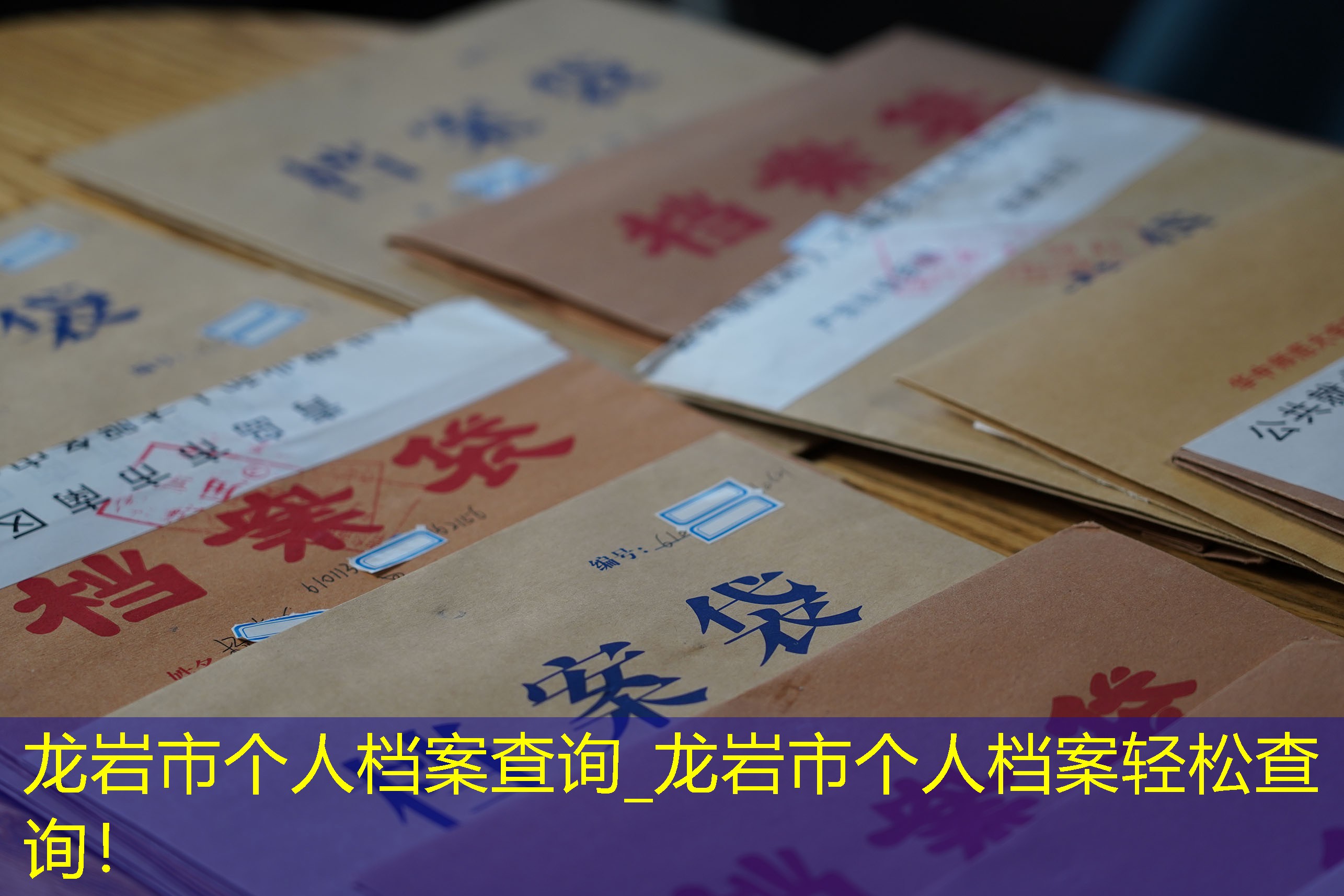 档案查询