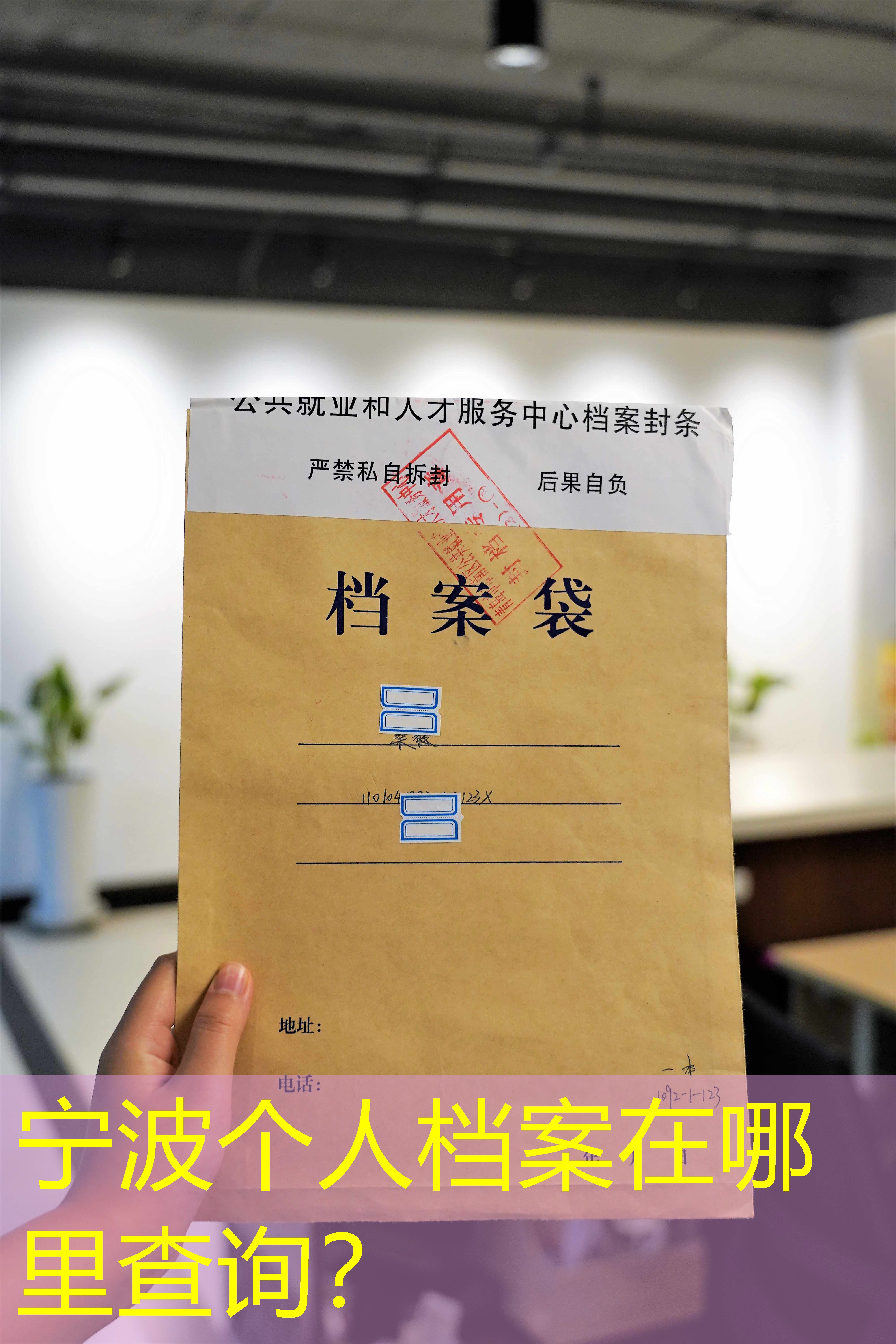 档案查询