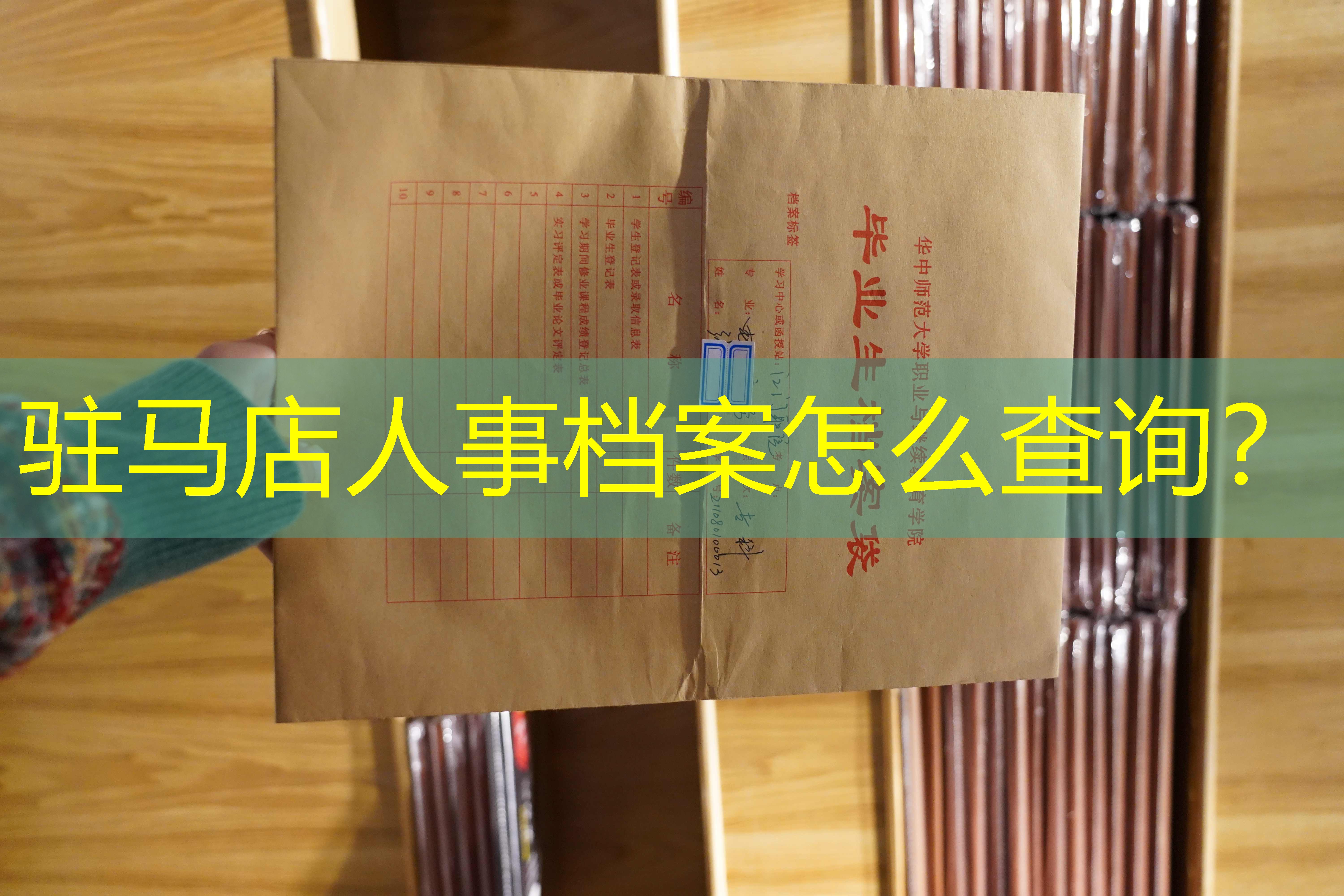 档案查询