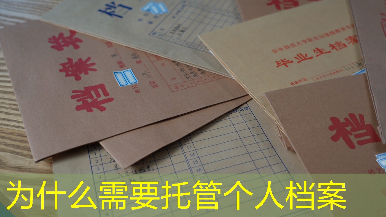 档案查询