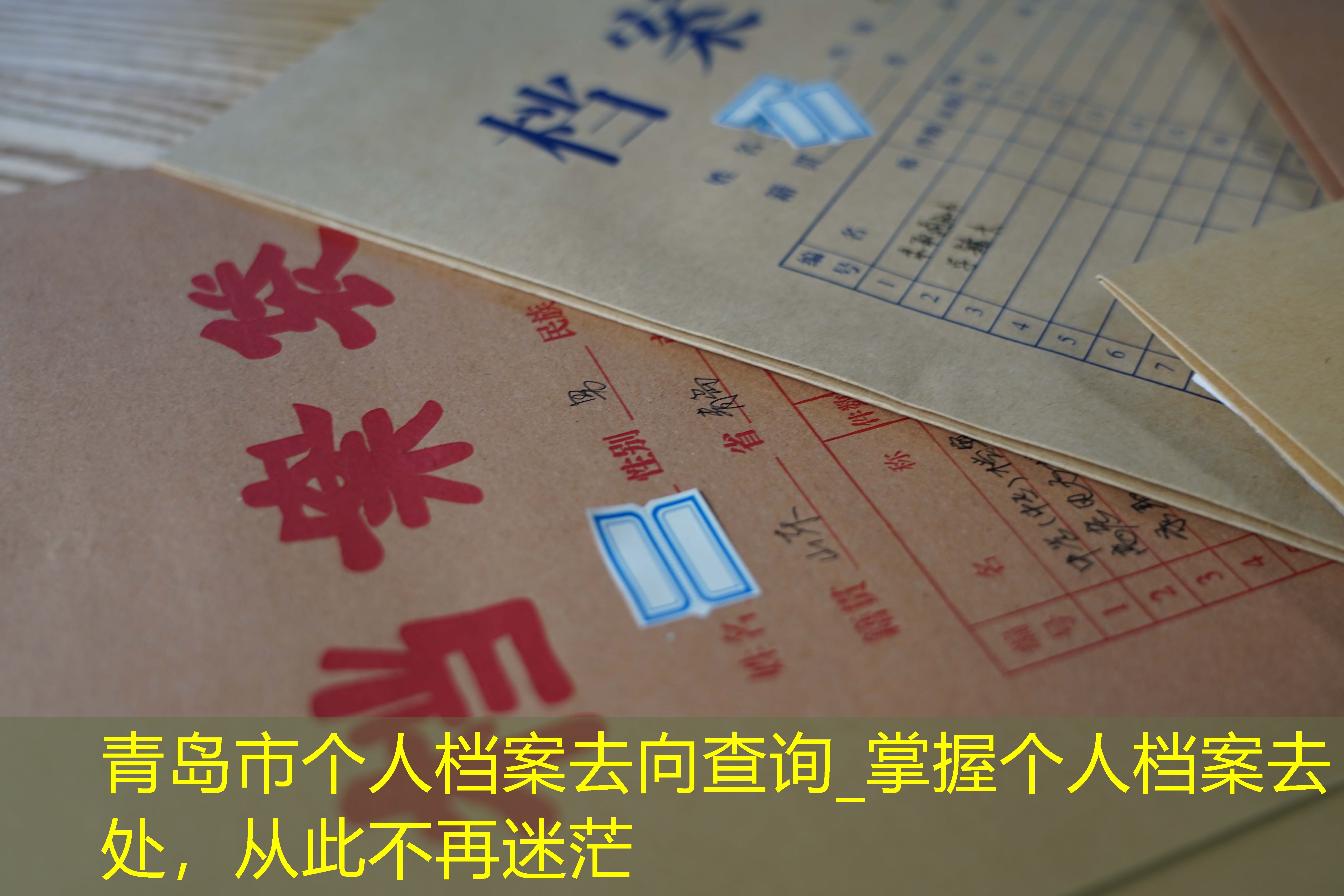 档案查询