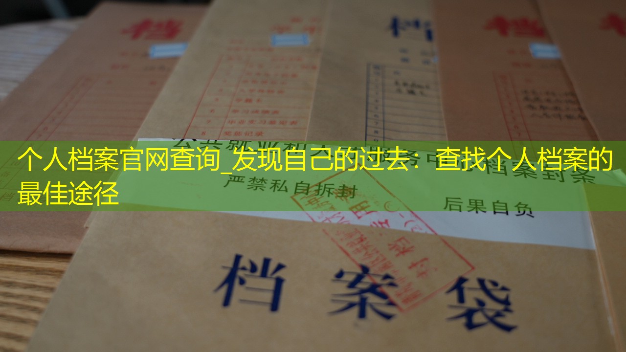 档案查询