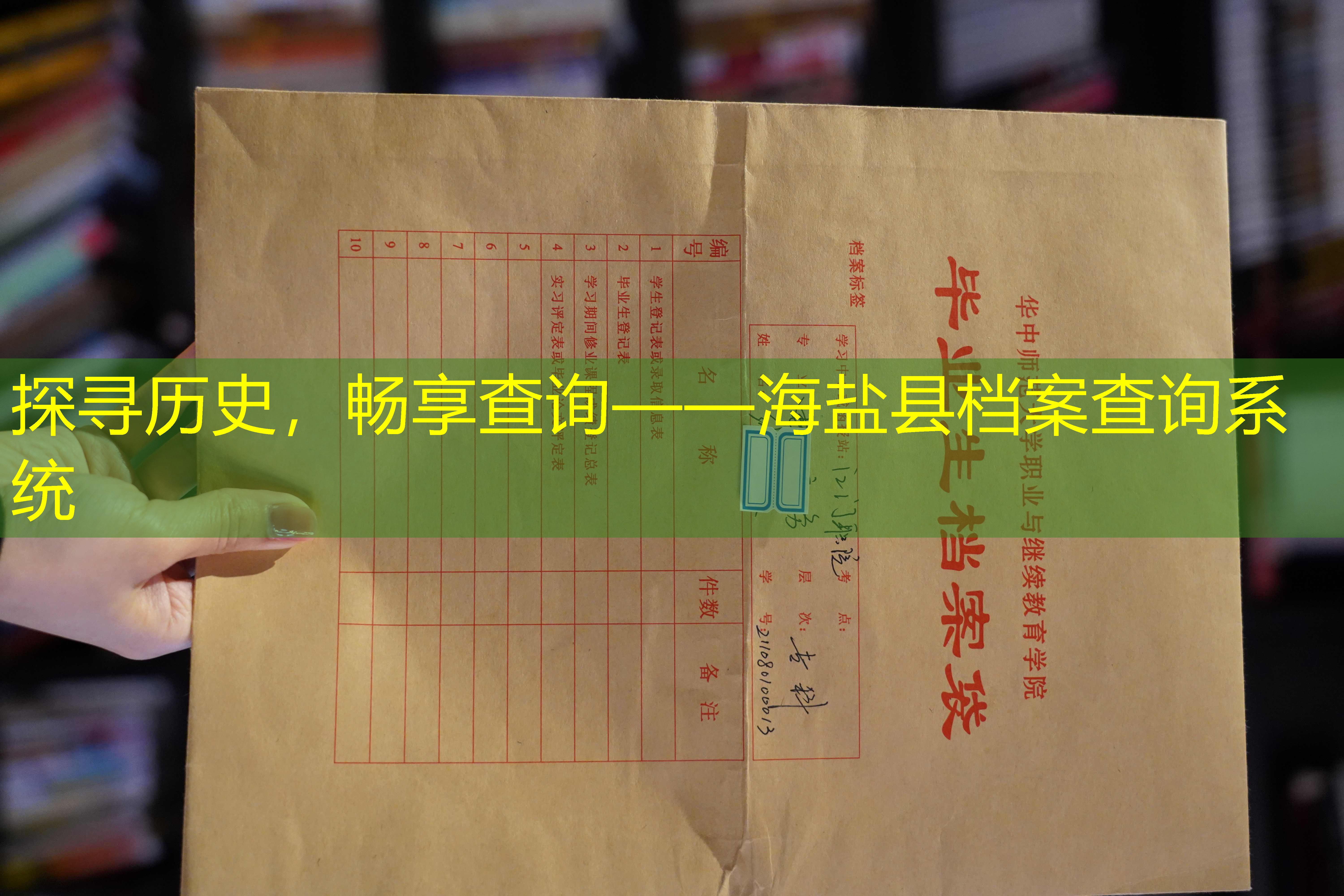 档案查询