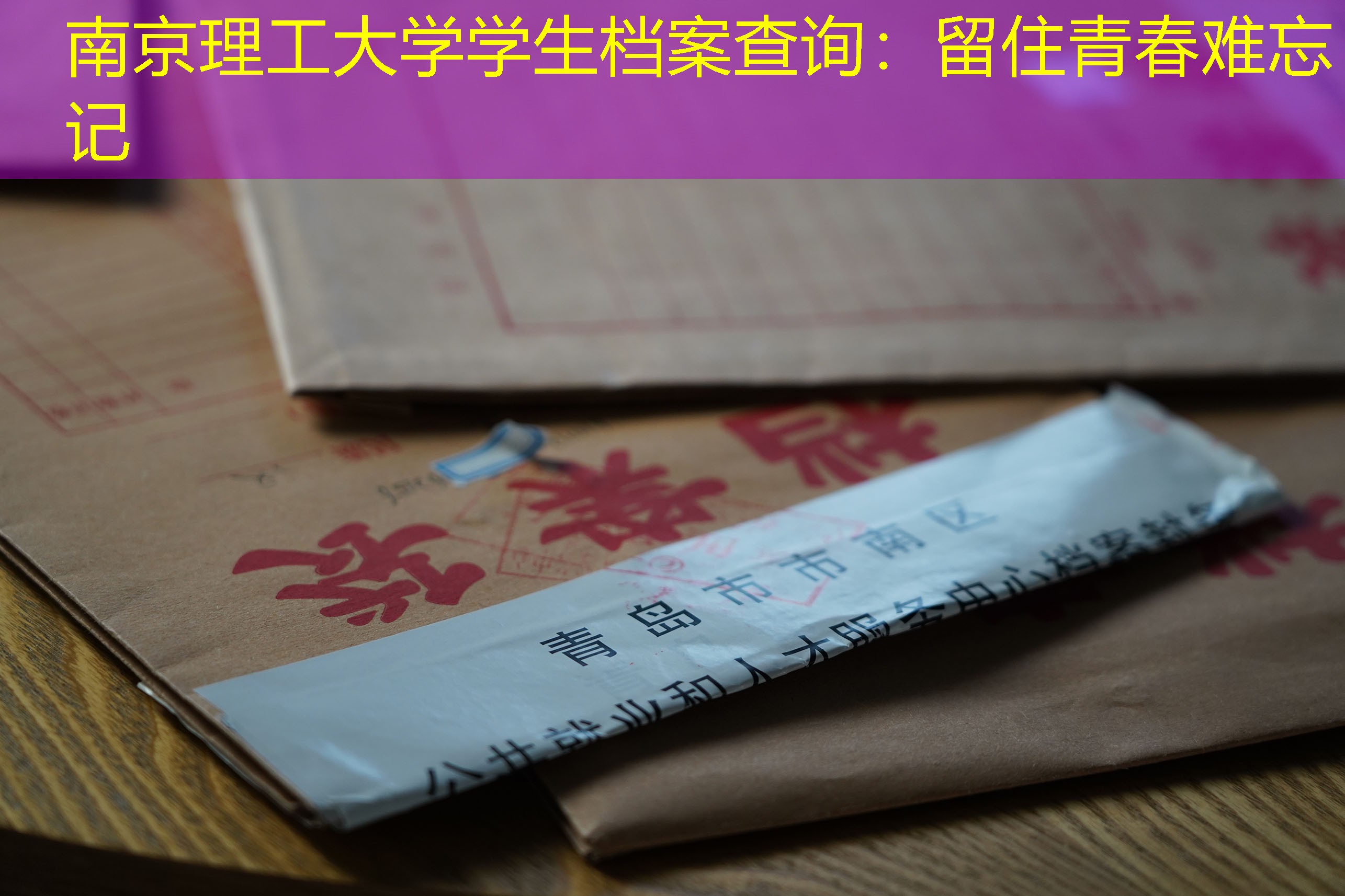 档案查询