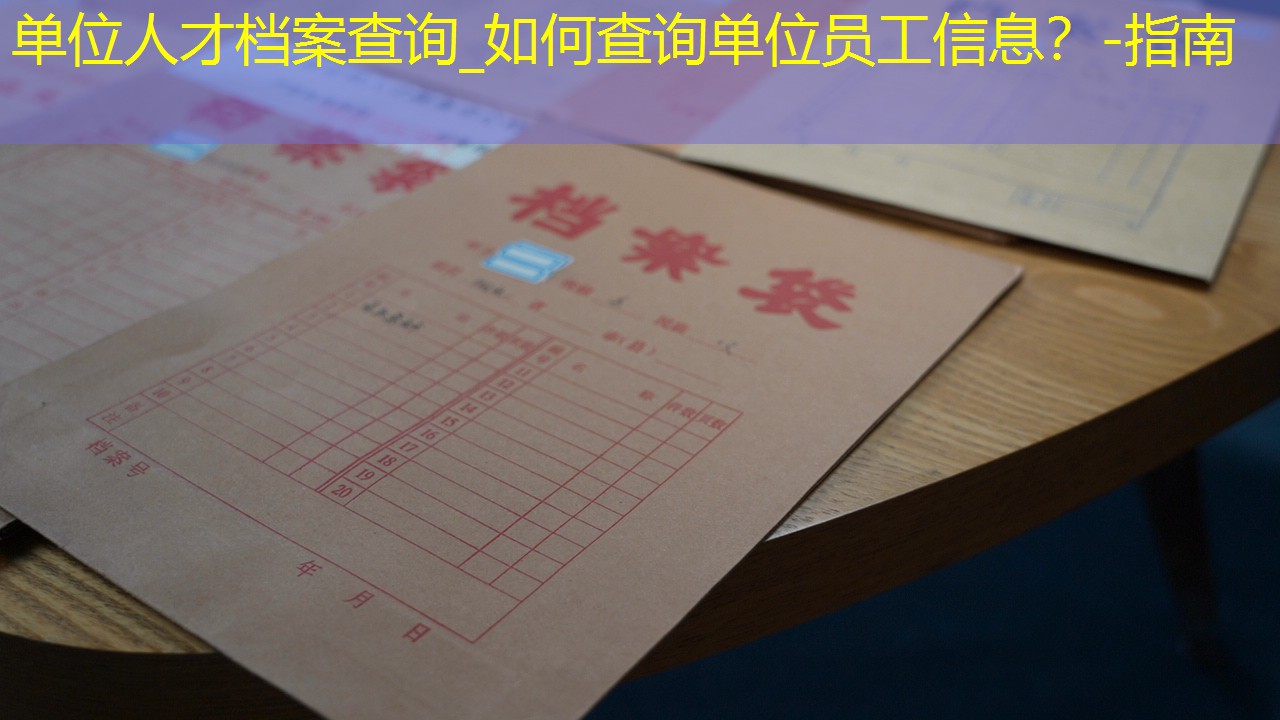 档案查询