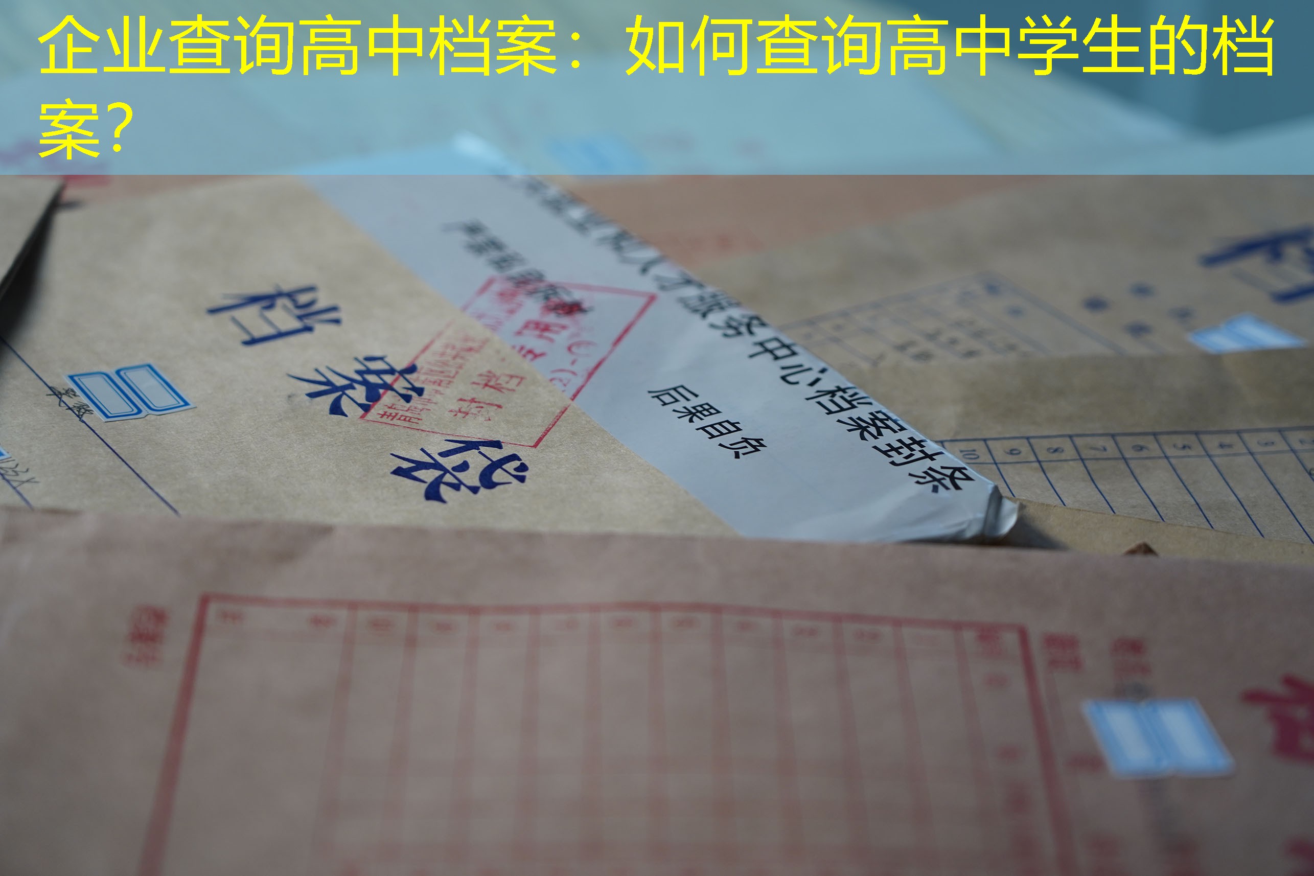 档案查询