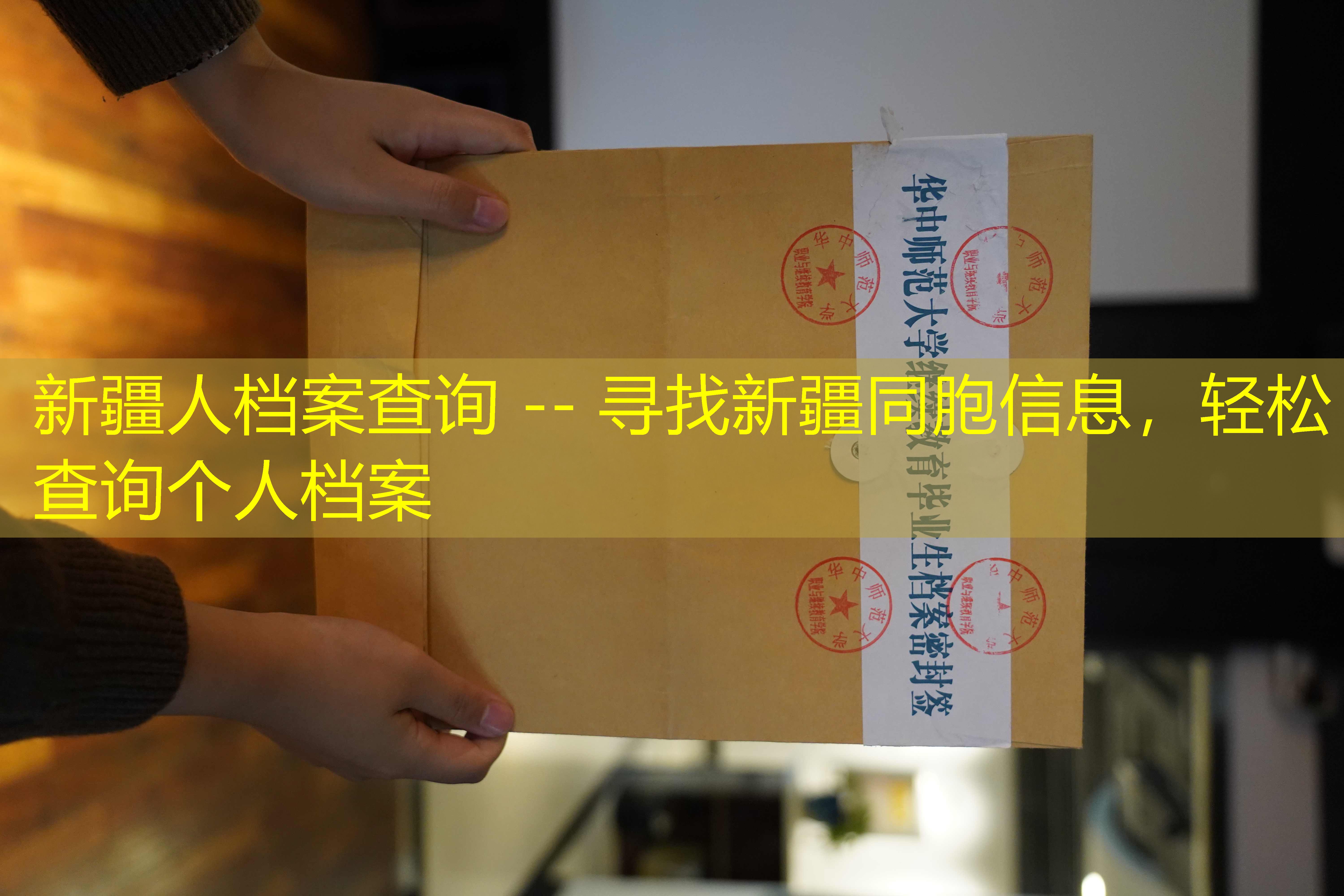 档案查询