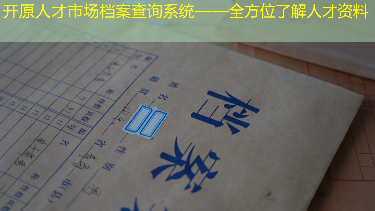 档案查询