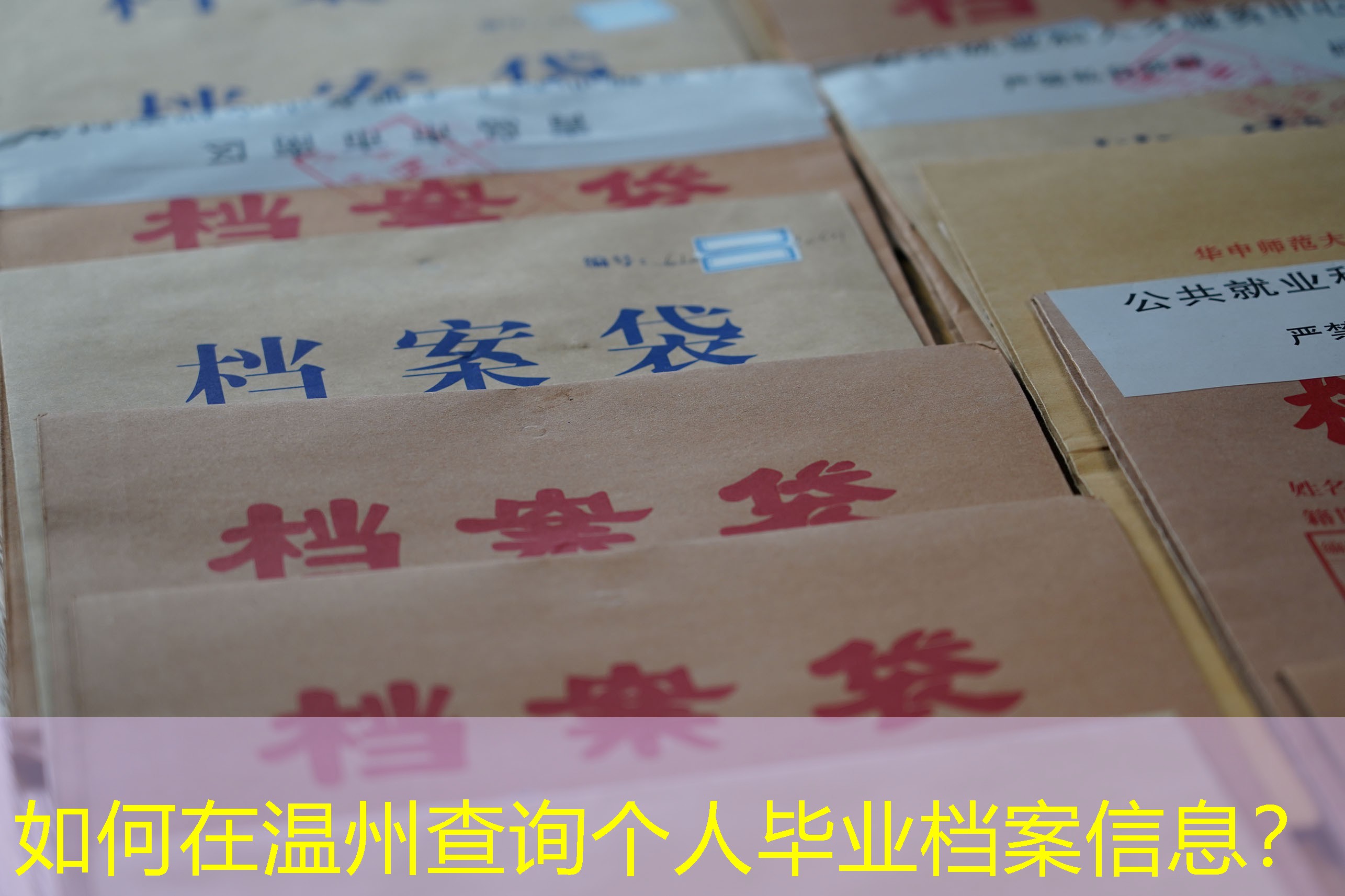 档案查询