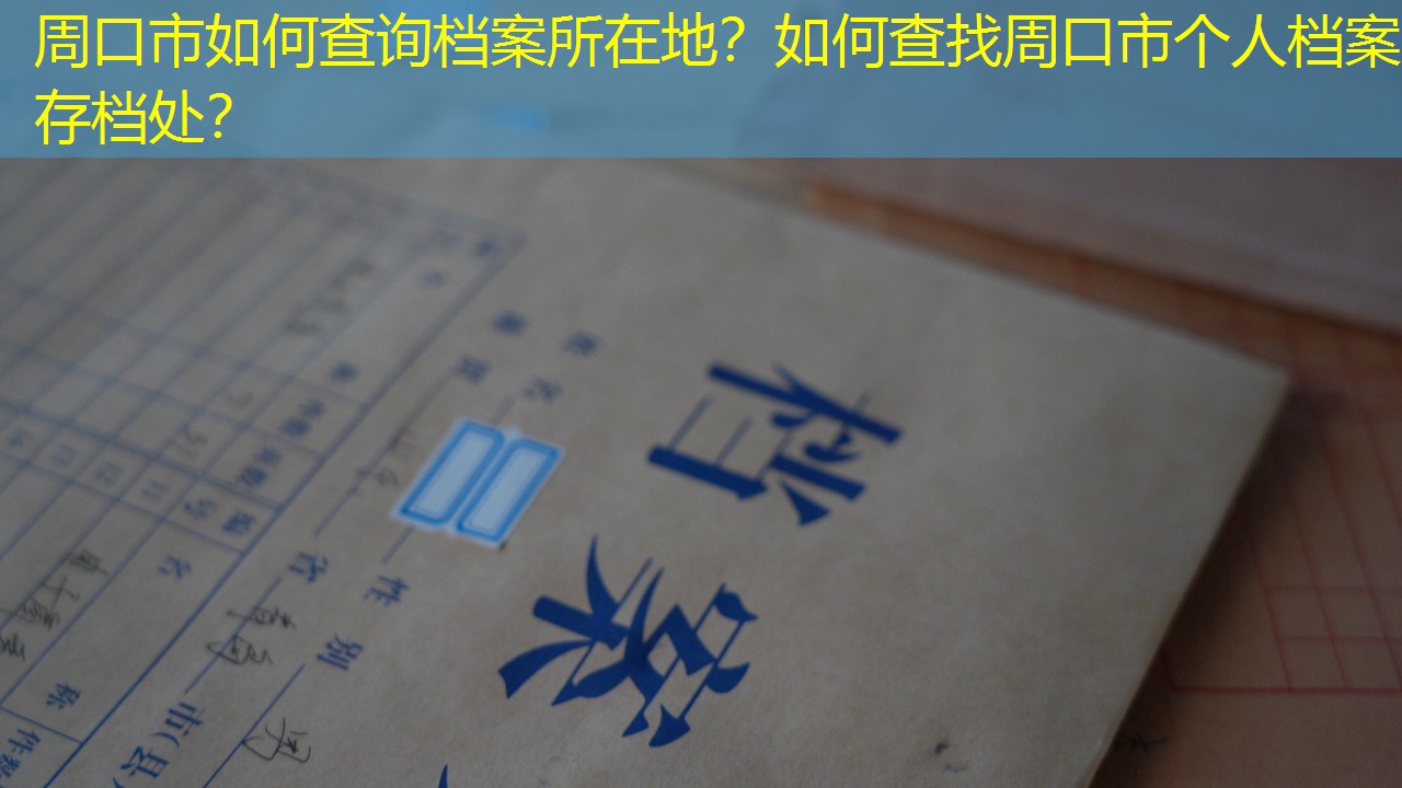 档案查询