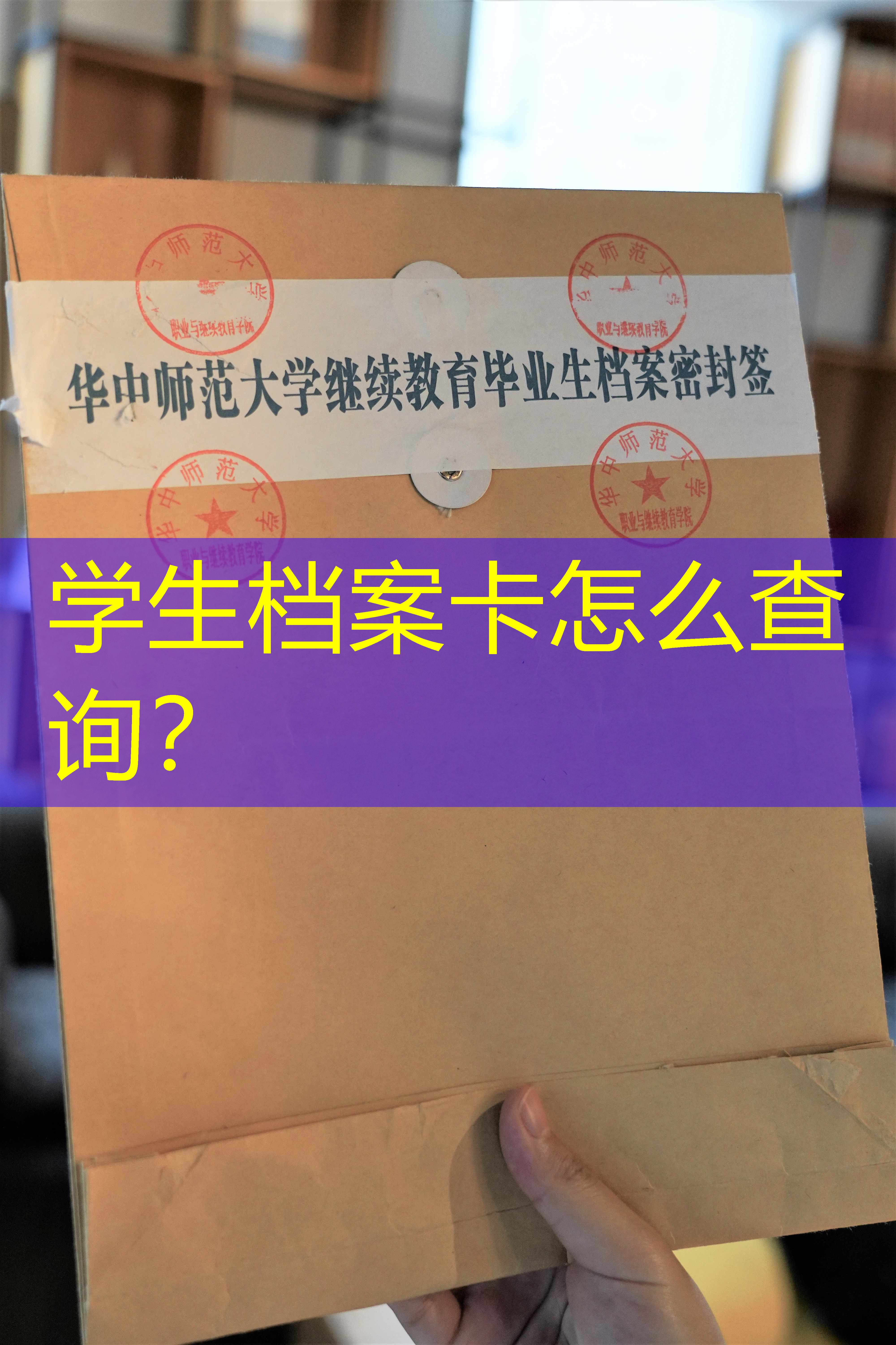 档案查询