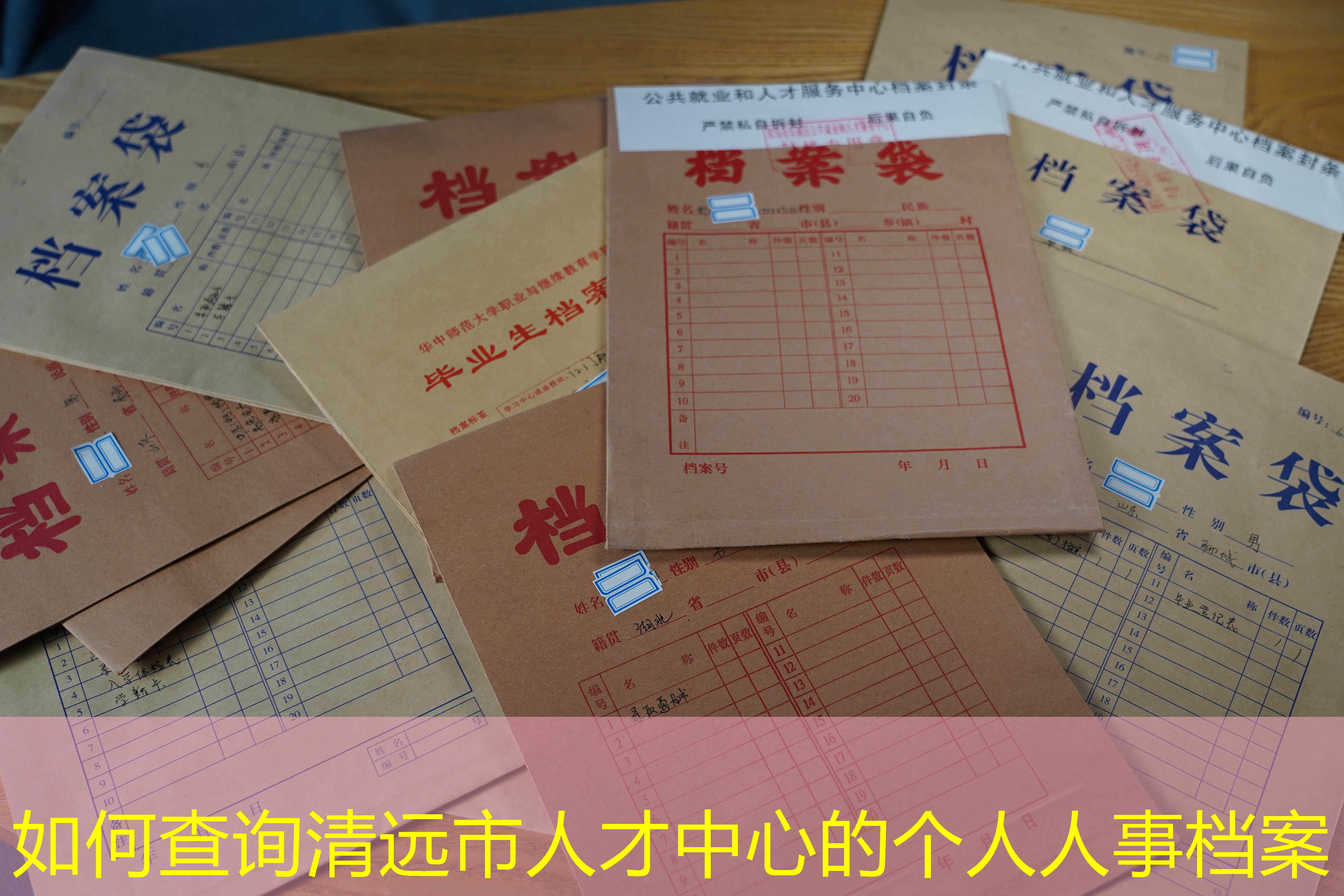 档案查询