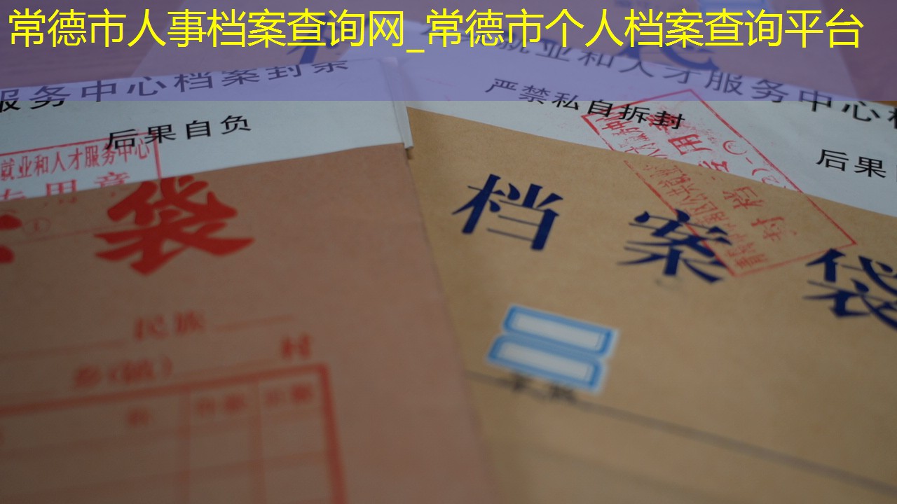 档案查询