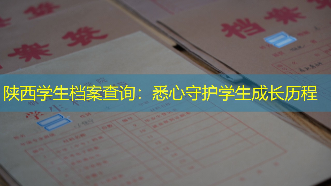 档案查询
