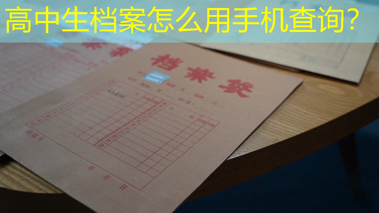 档案查询