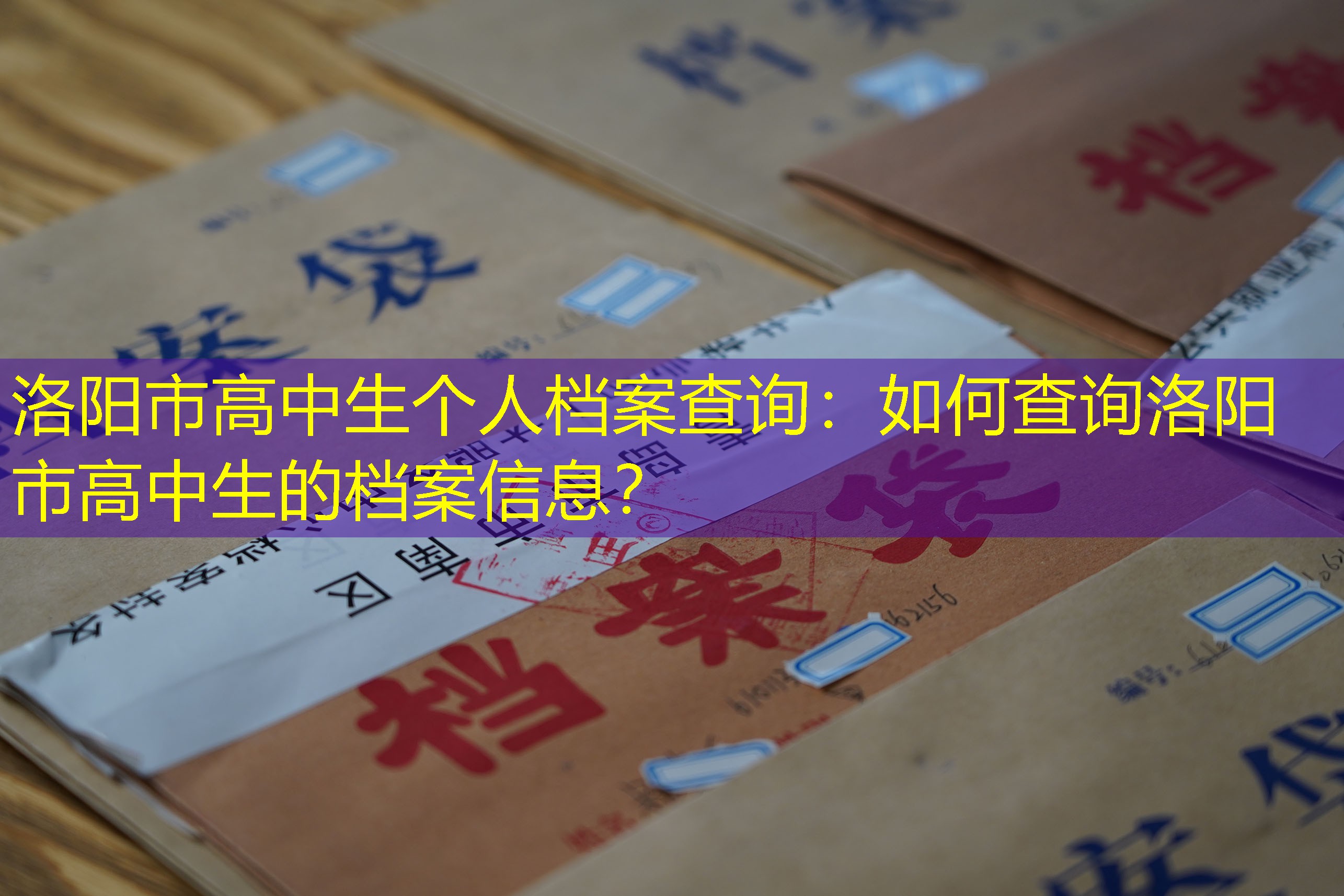 档案查询