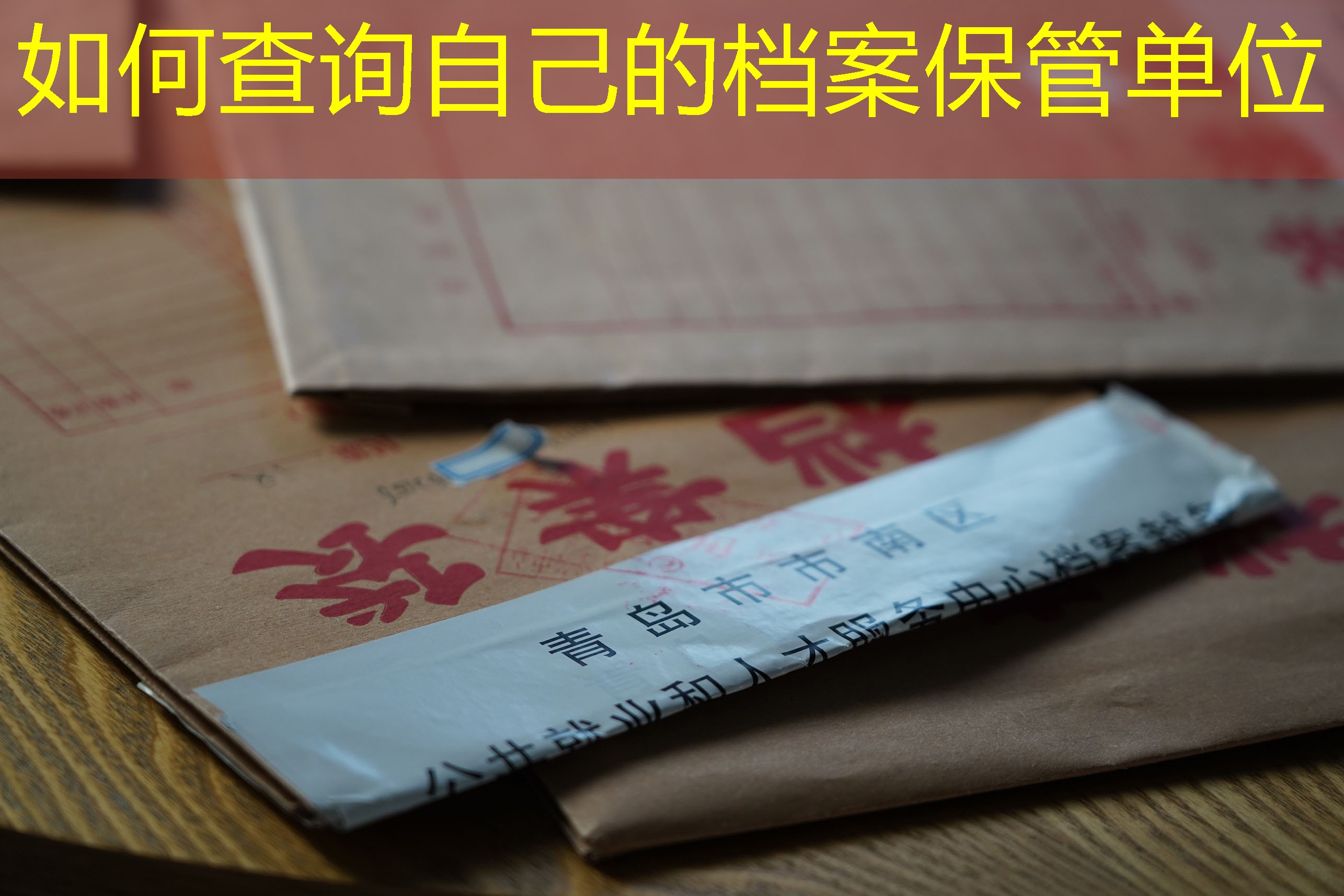 档案查询