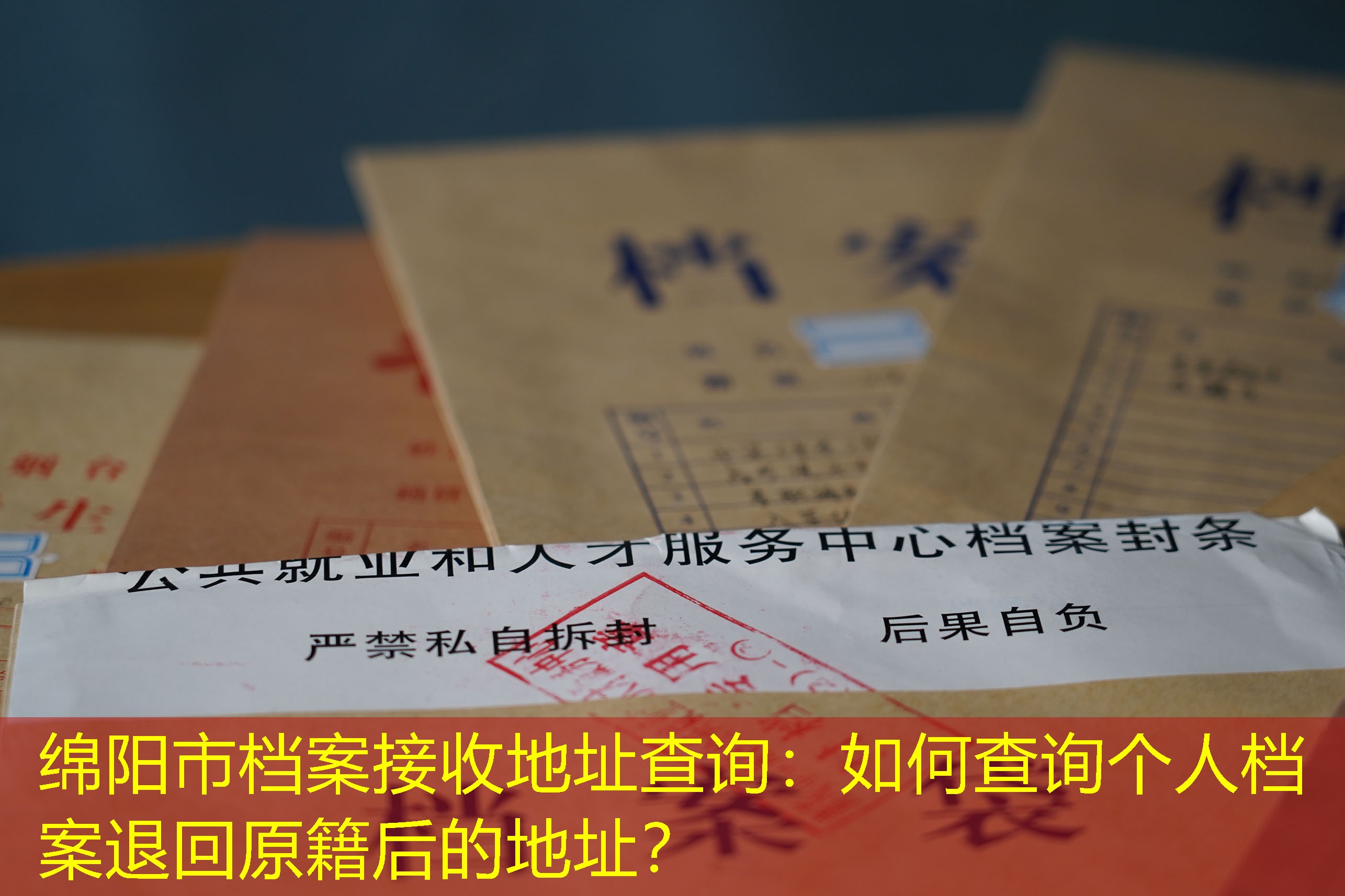 档案查询