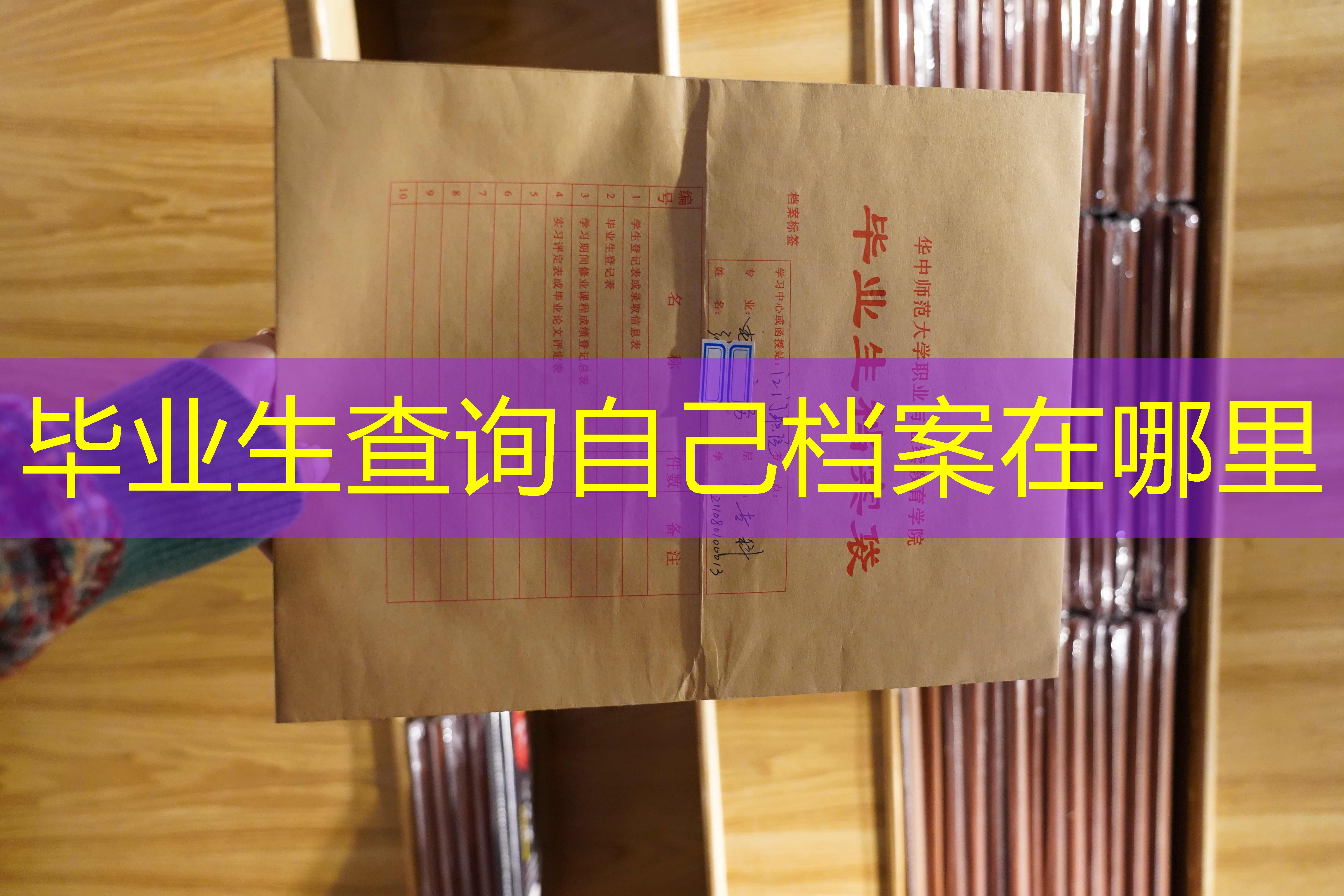 档案查询