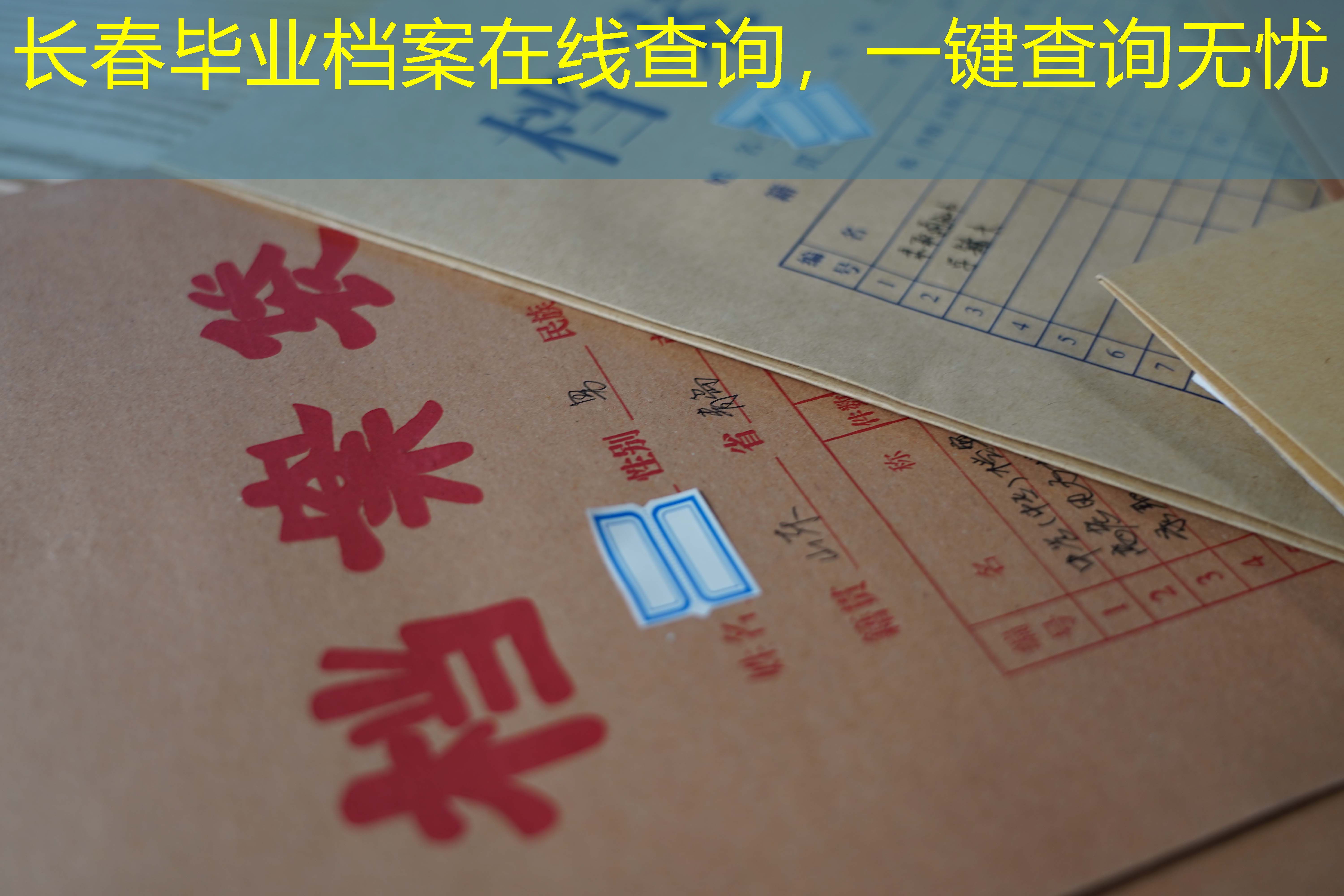 档案查询
