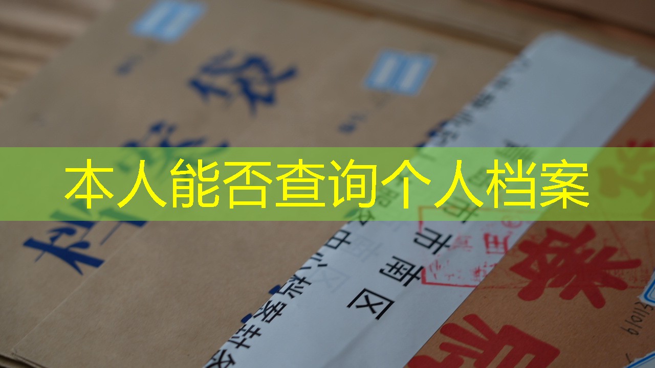 档案查询