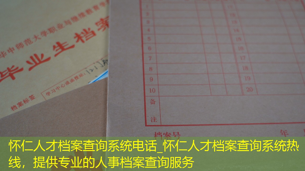 档案查询